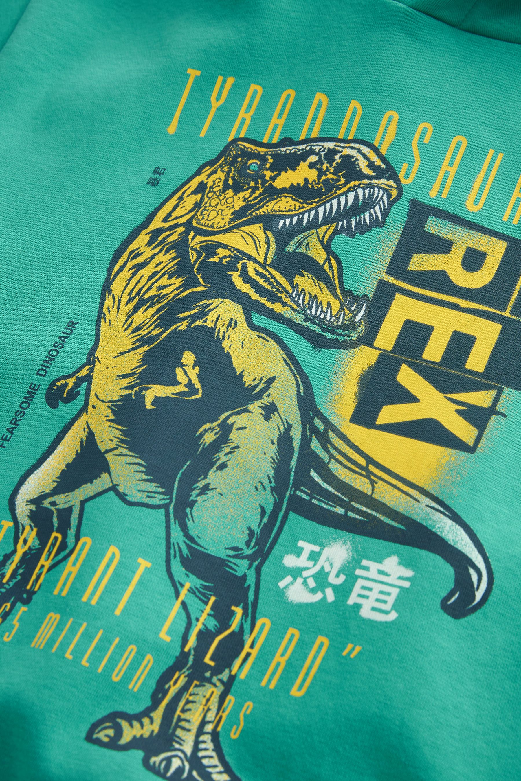 Teal Green Dinosaur Graphic Hoodie (3-16yrs)