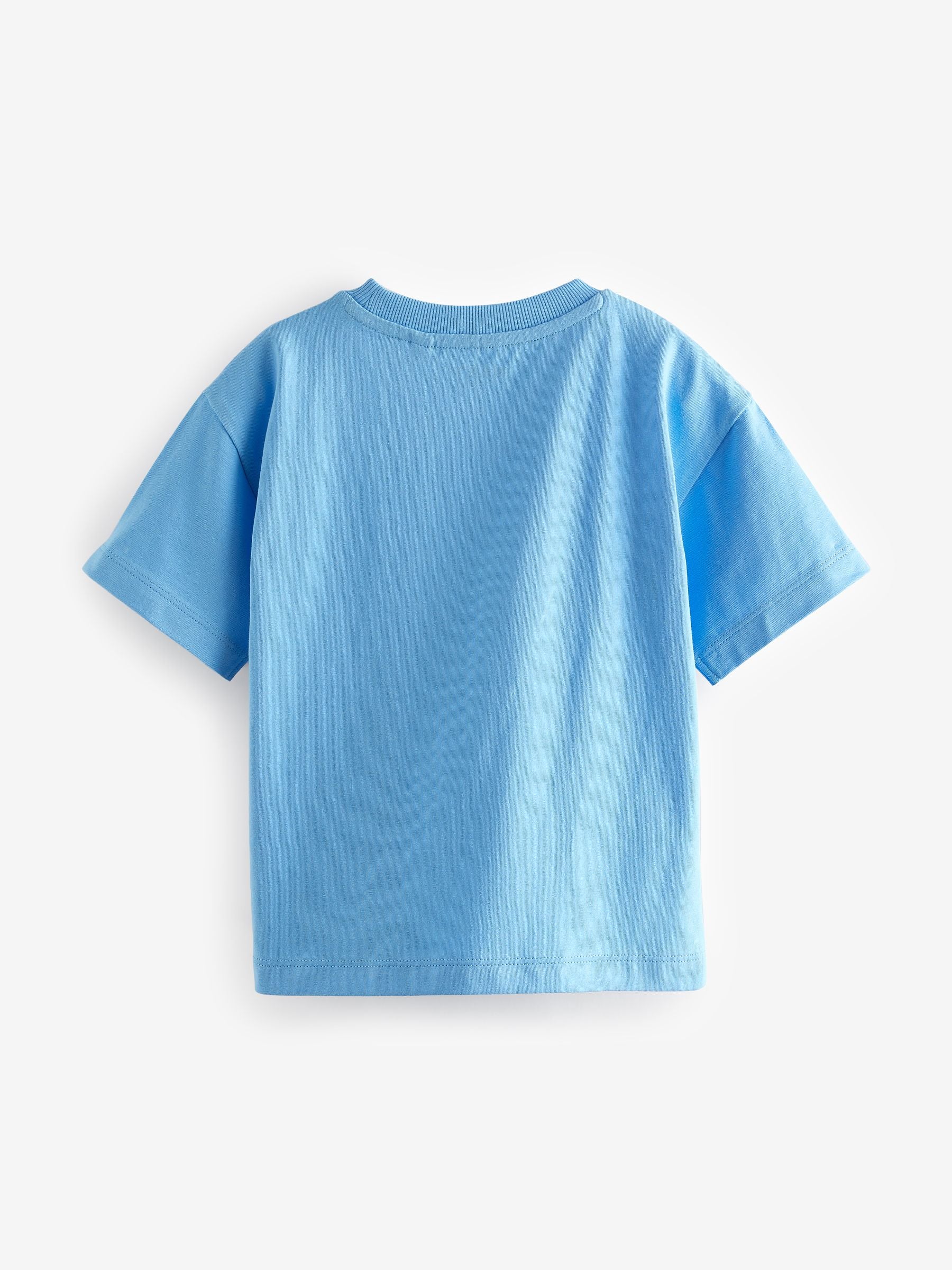 Blue/Green 100% Cotton Short Sleeve Character T-Shirt (3mths-7yrs)