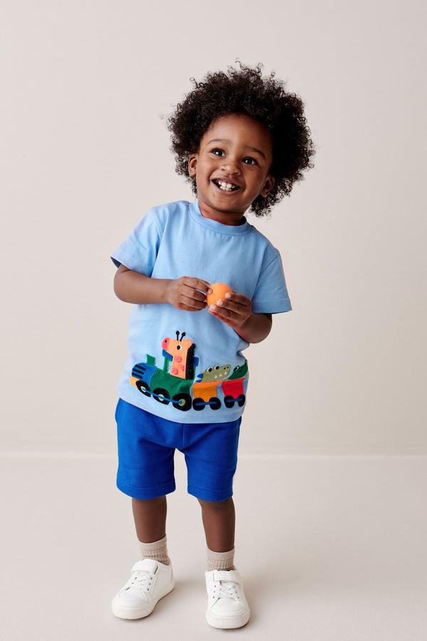 Blue/Navy T-Shirt And Shorts Set (3mths-7yrs)