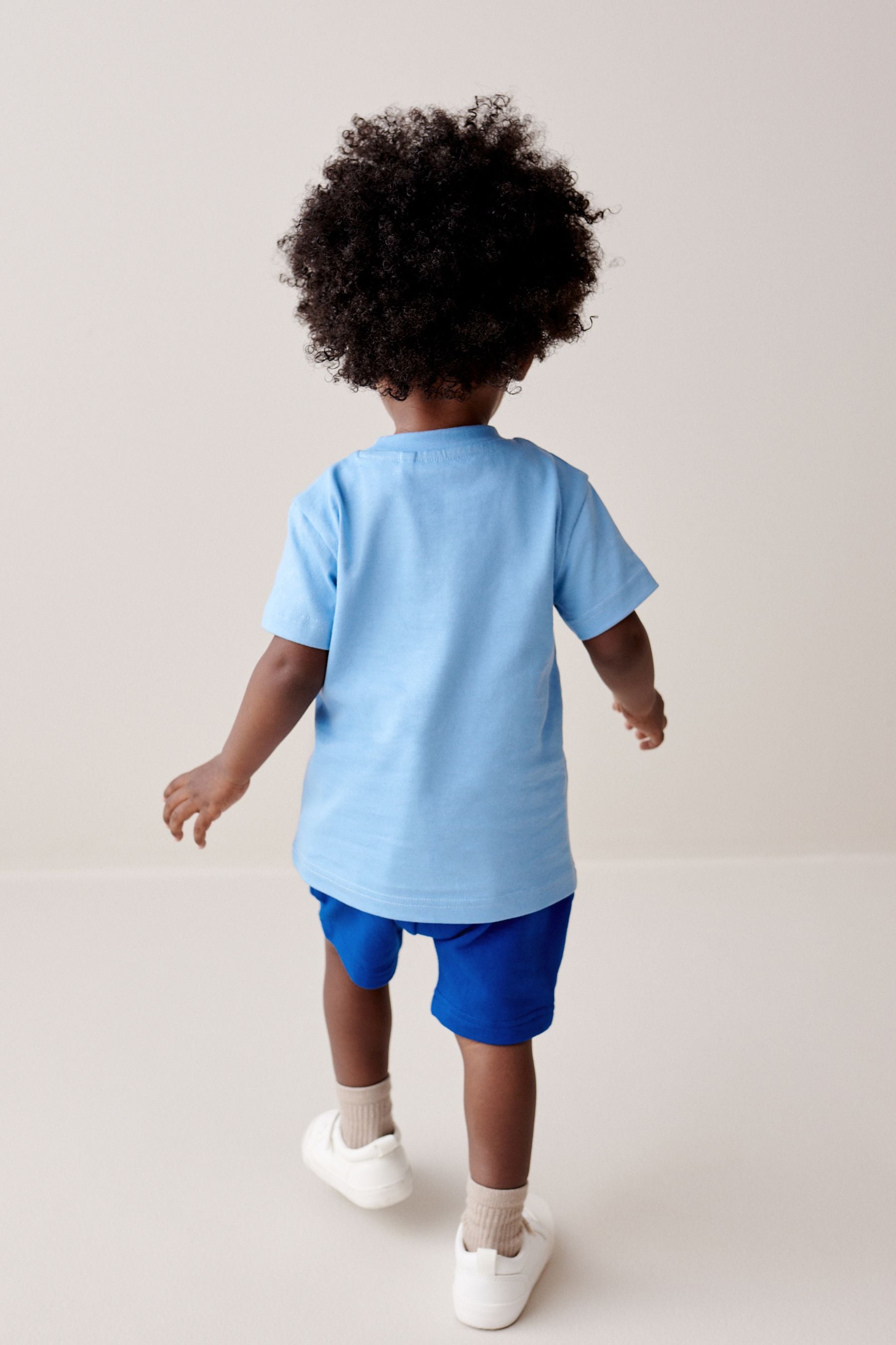 Blue/Navy T-Shirt And Shorts Set (3mths-7yrs)