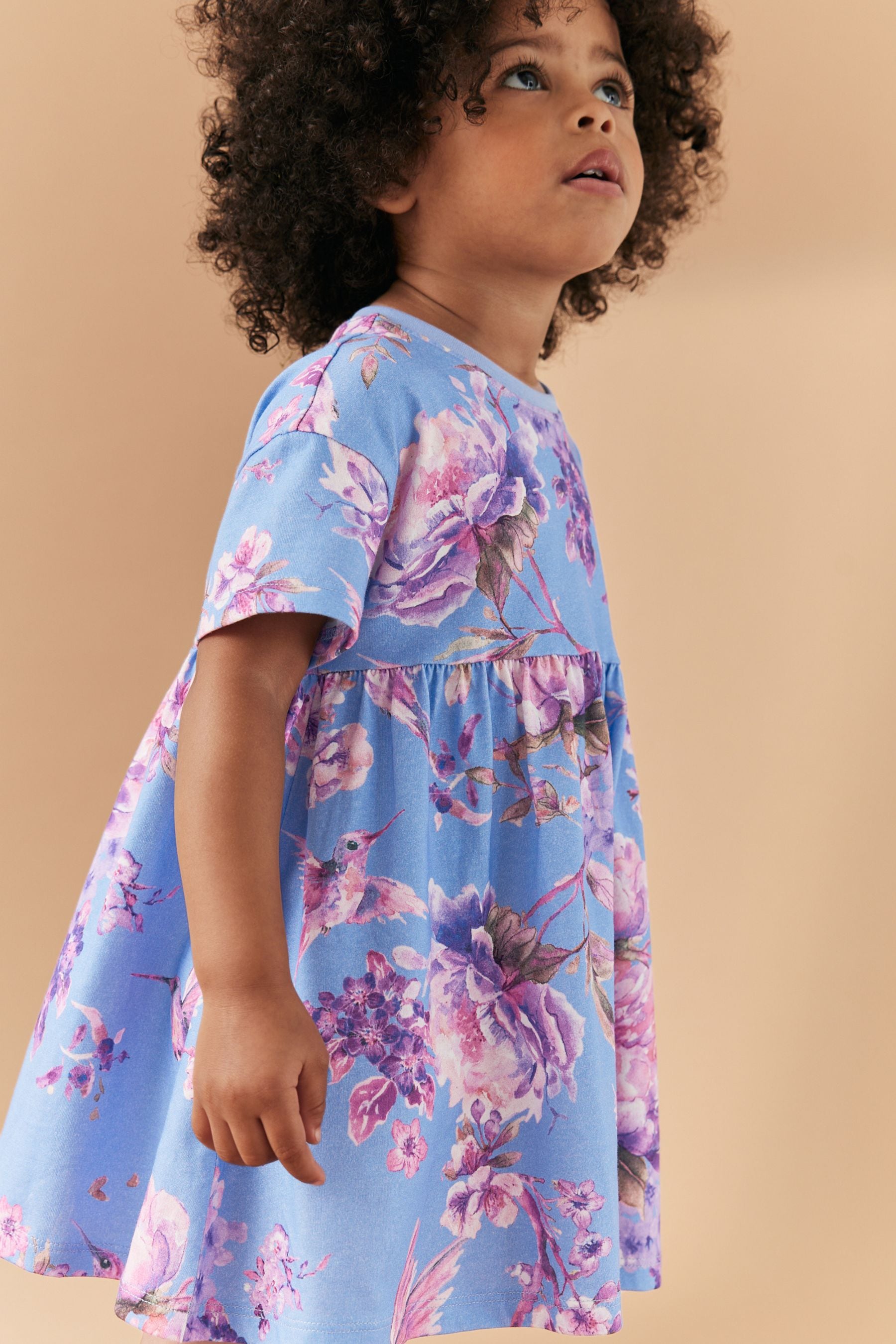 Blue Floral Short Sleeve Cotton Jersey Dress (3mths-7yrs)