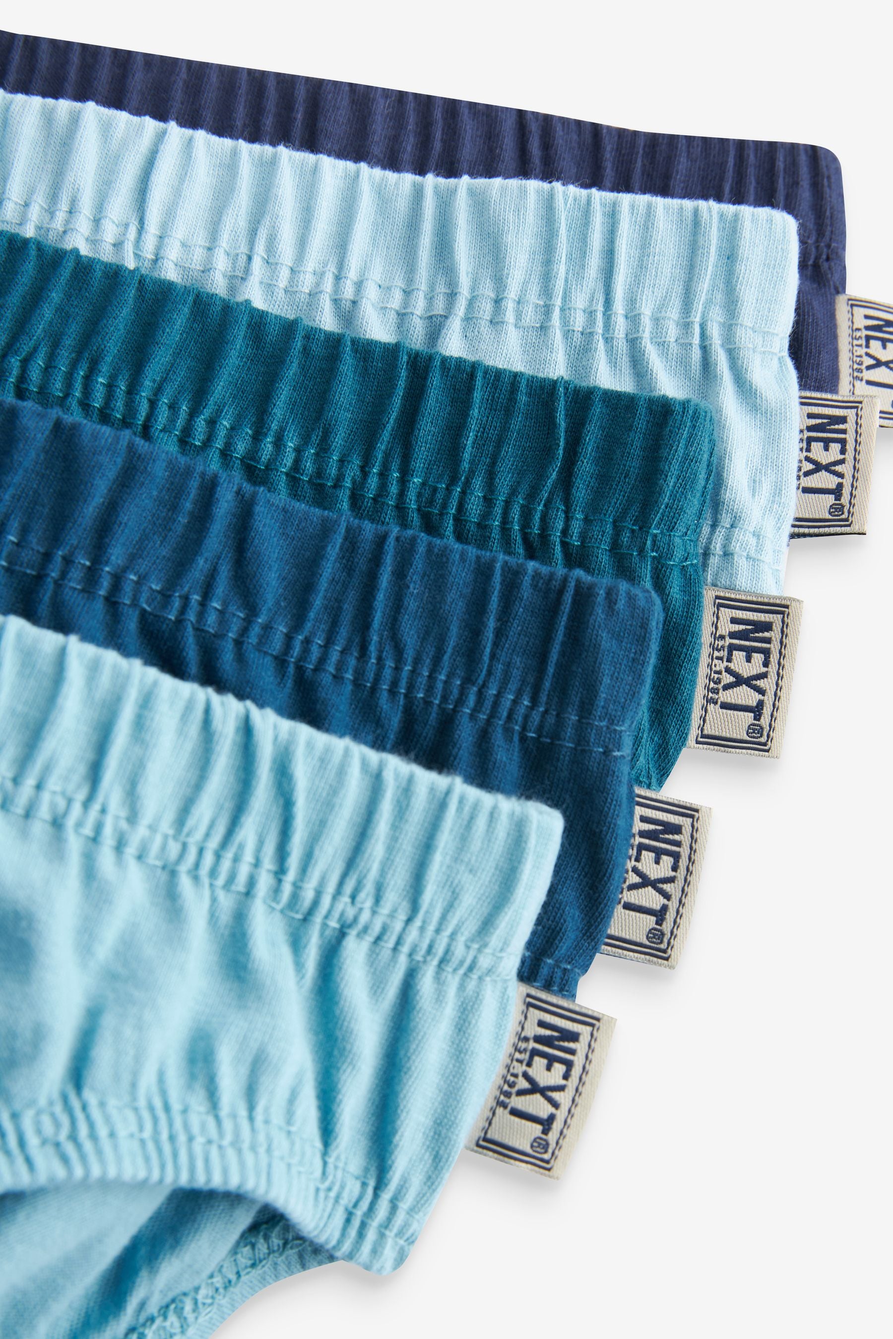 Blue Tonal Briefs 10 Pack (1.5-16yrs)