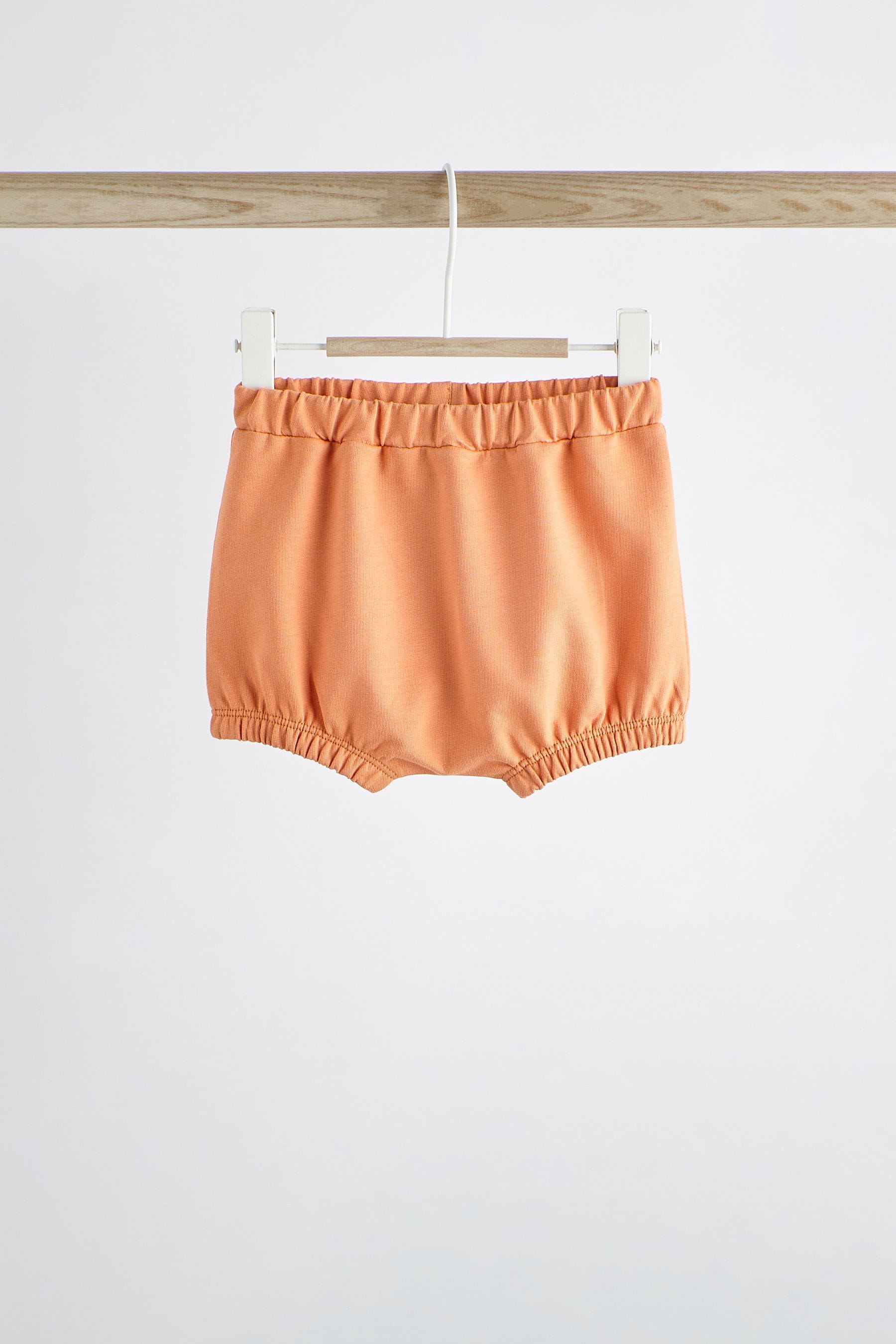 Orange Tiger Baby T-Shirt and Shorts 2 Piece Set