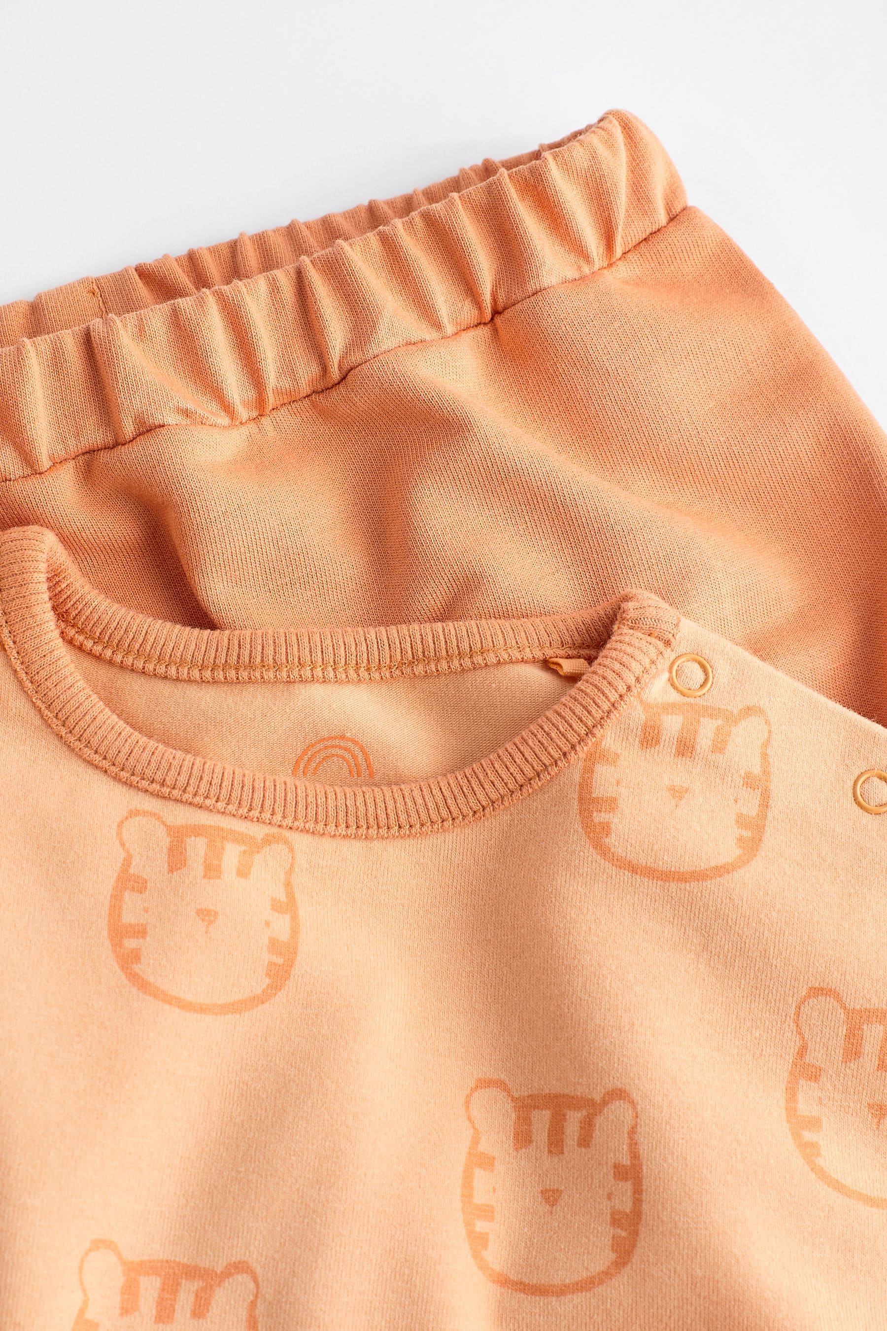 Orange Tiger Baby T-Shirt and Shorts 2 Piece Set