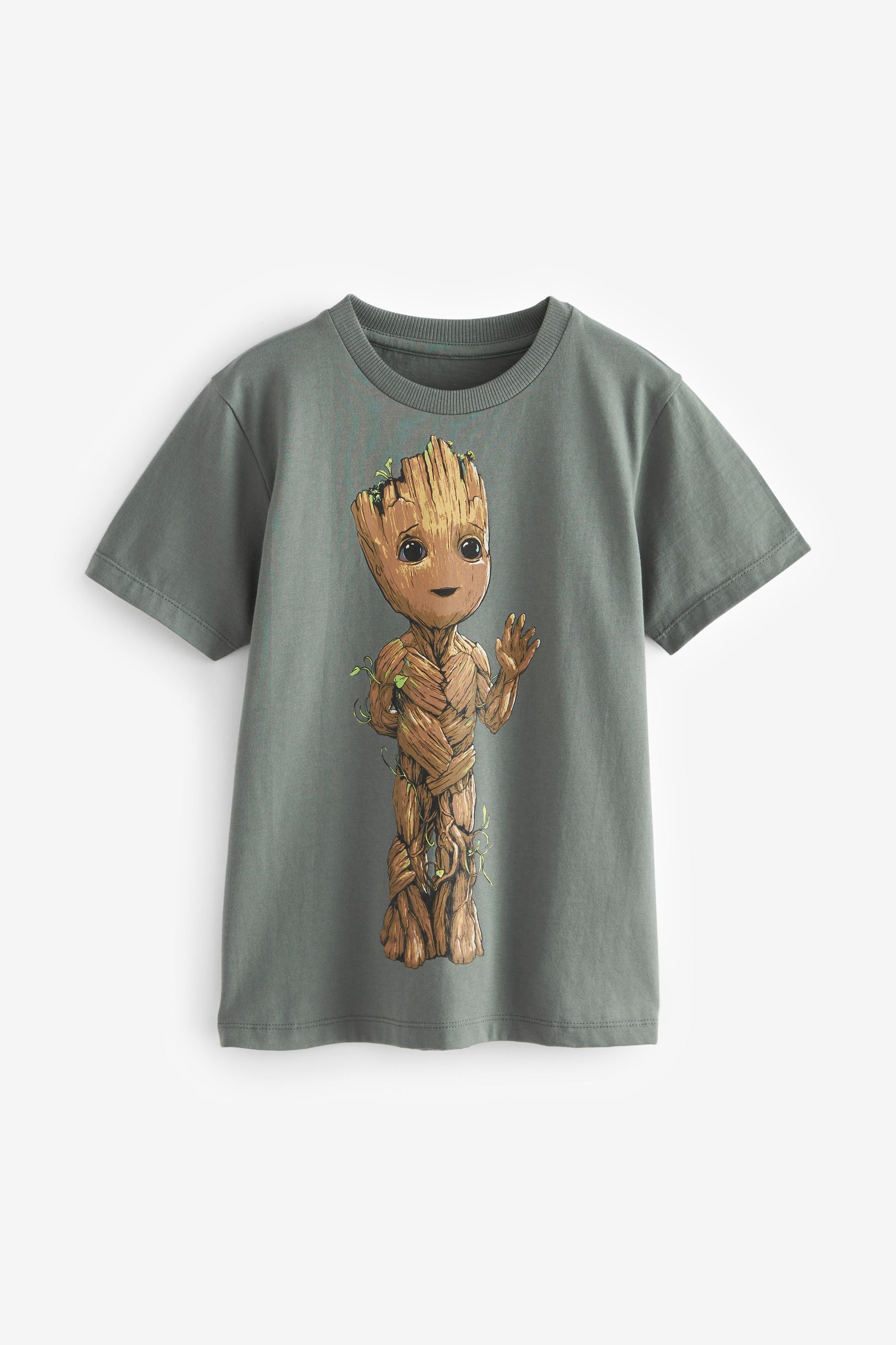 Grey 100% Cotton Licensed Guardians of the Galaxy Groot T-Shirt (3-16yrs)