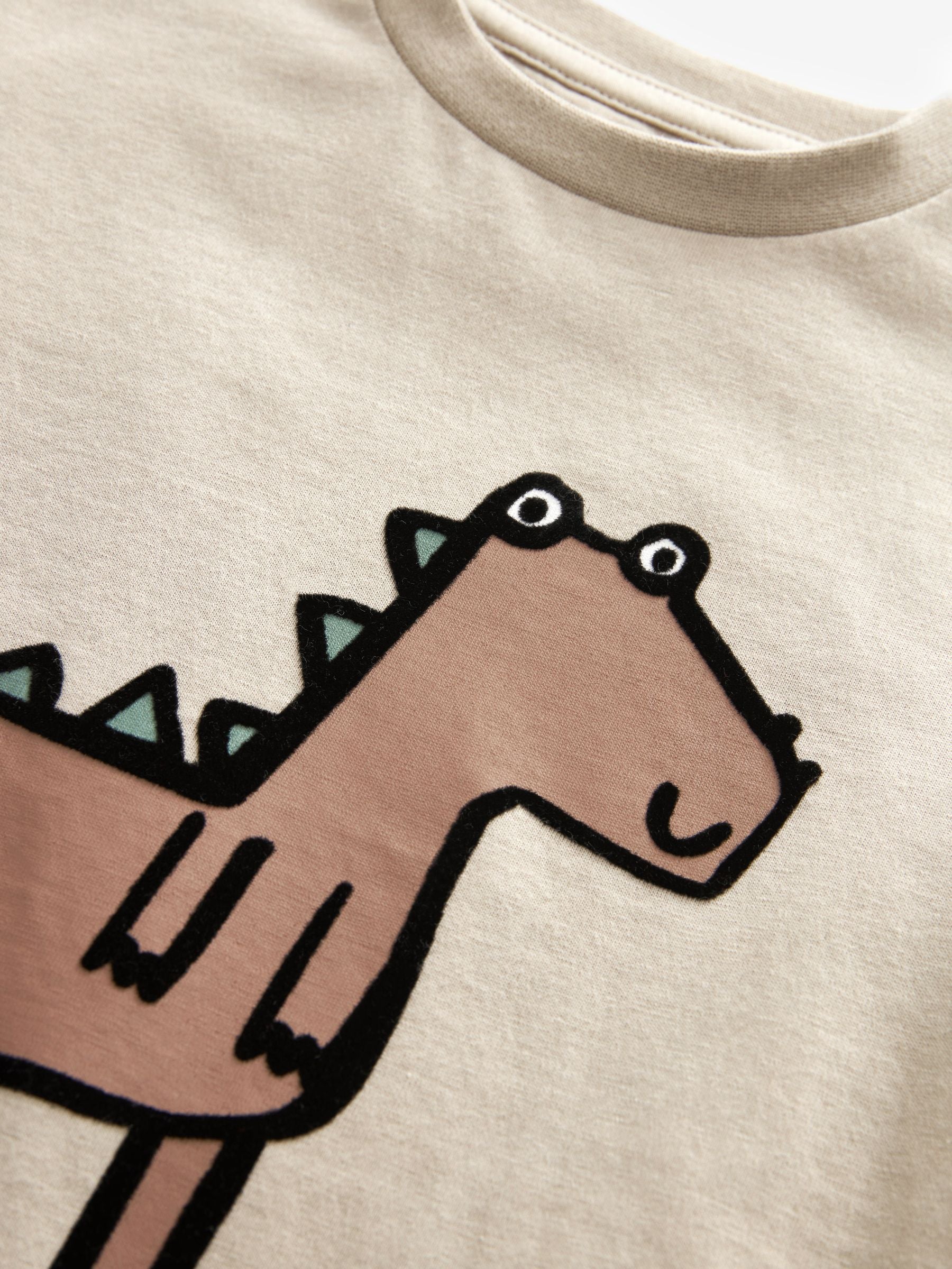 Neutral Dinosaur 100% Cotton Short Sleeve Character T-Shirt (3mths-7yrs)