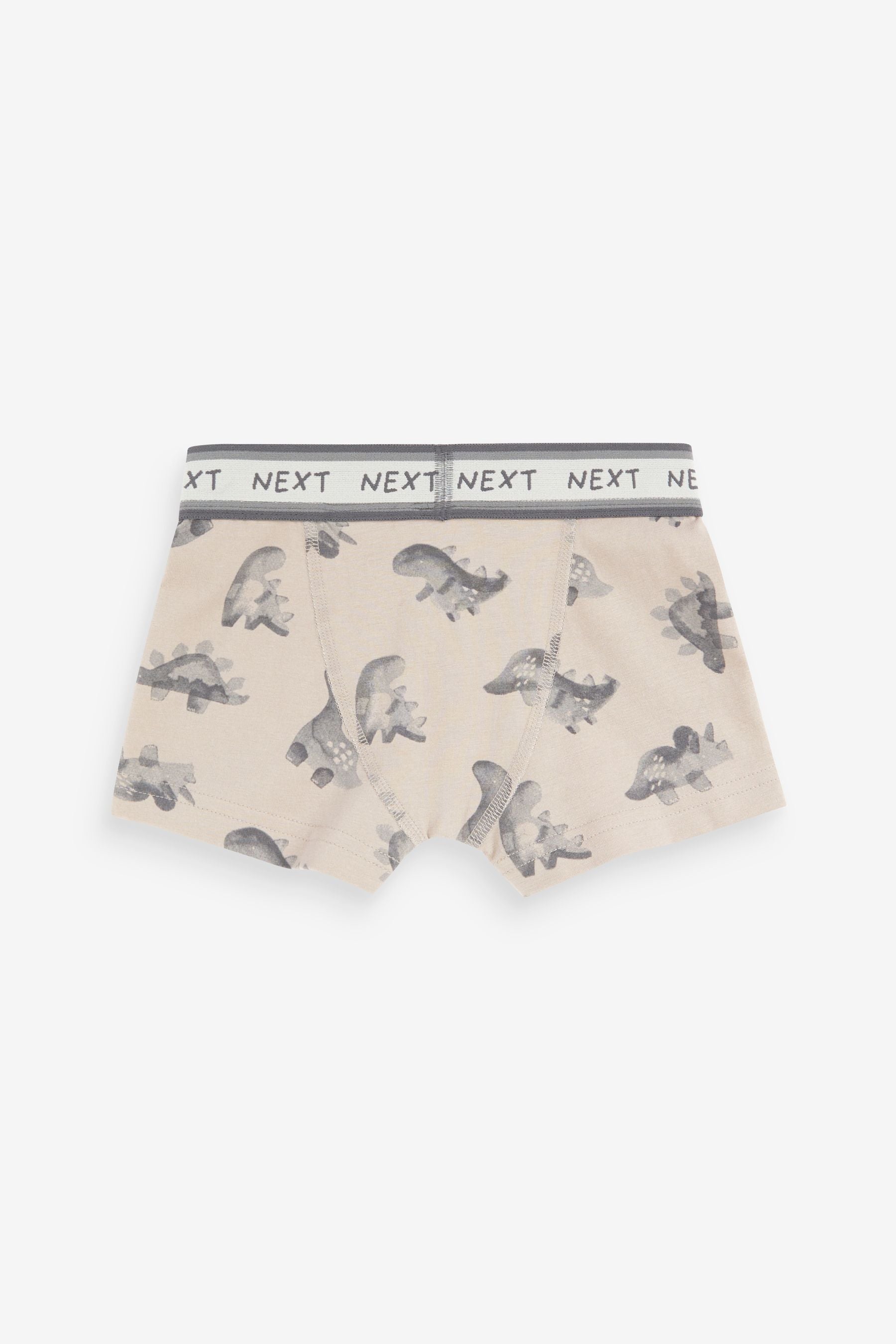 Monochrome Dino Print Mini Bright Trunks (1.5-12yrs)