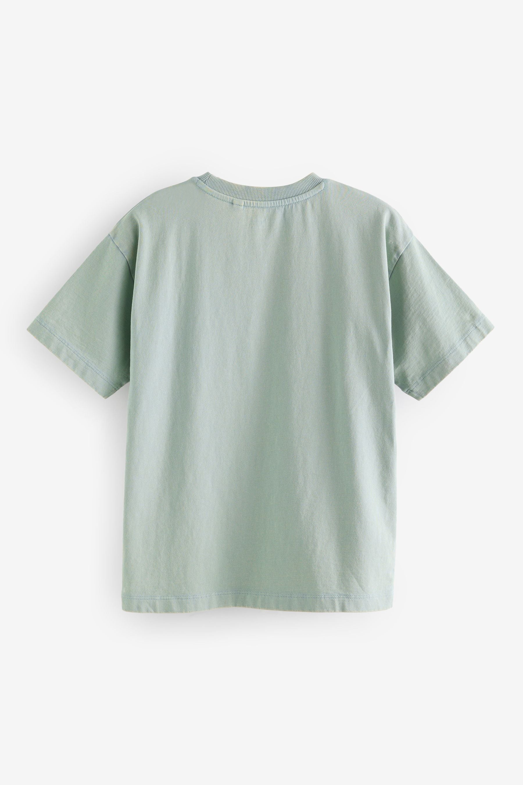 Mineral Green Embroidery 100% Cotton Washed Short Sleeve T-Shirt (3-16yrs)