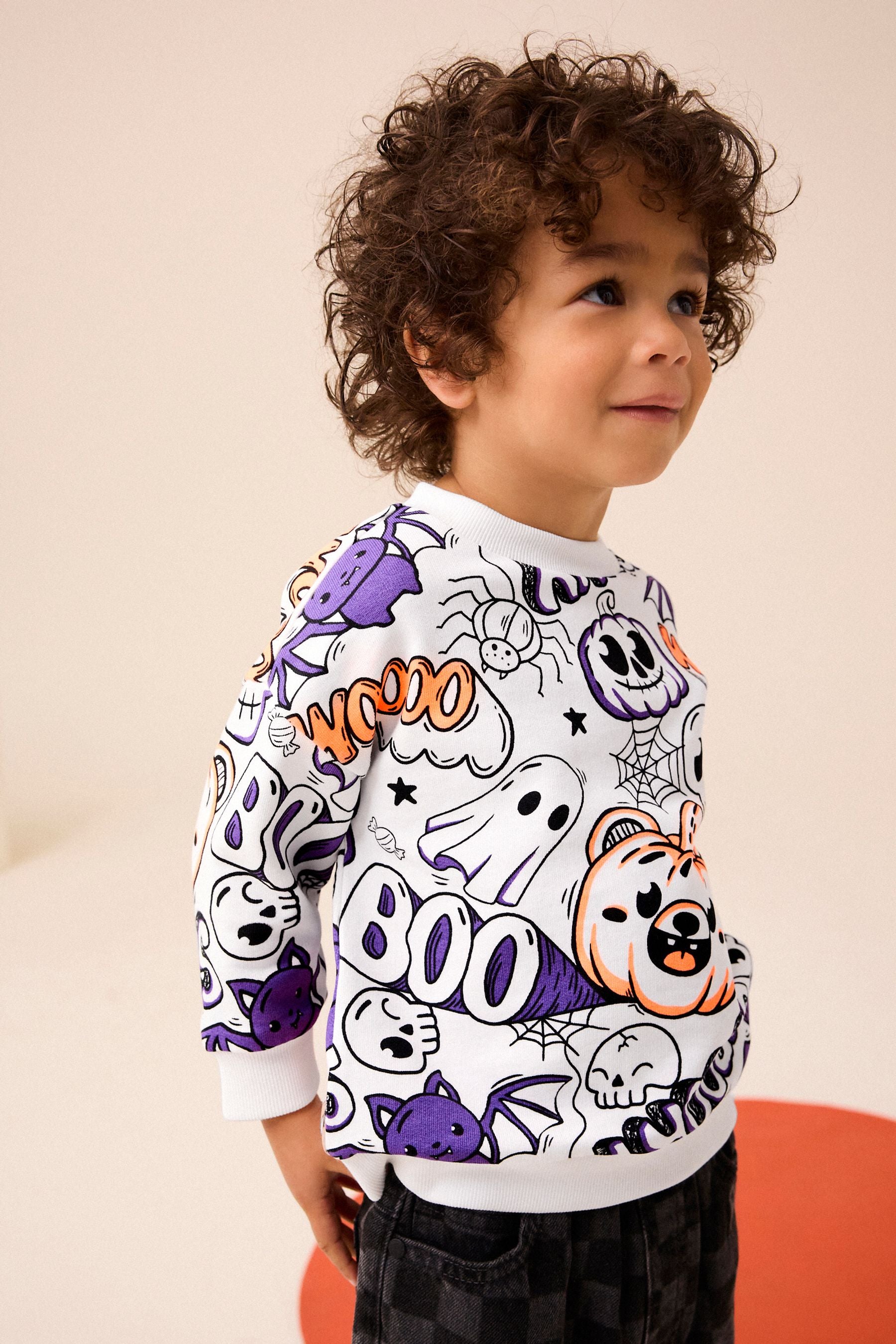 White/Purple Halloween Crew Neck Sweatshirt (3mths-7yrs)