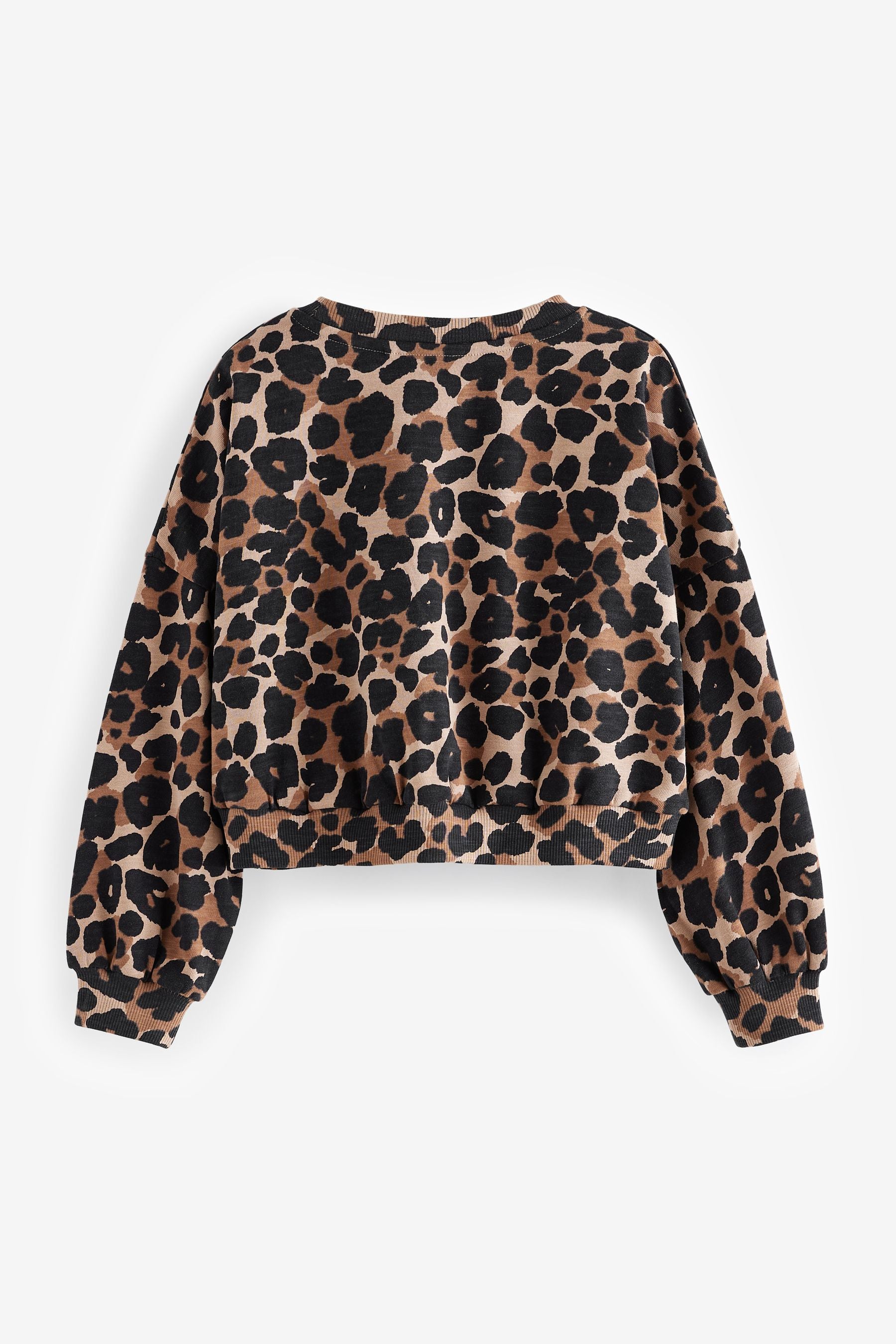 Animal Print 100% Cotton Boxy Long Sleeve Sweatshirt (3-16yrs)