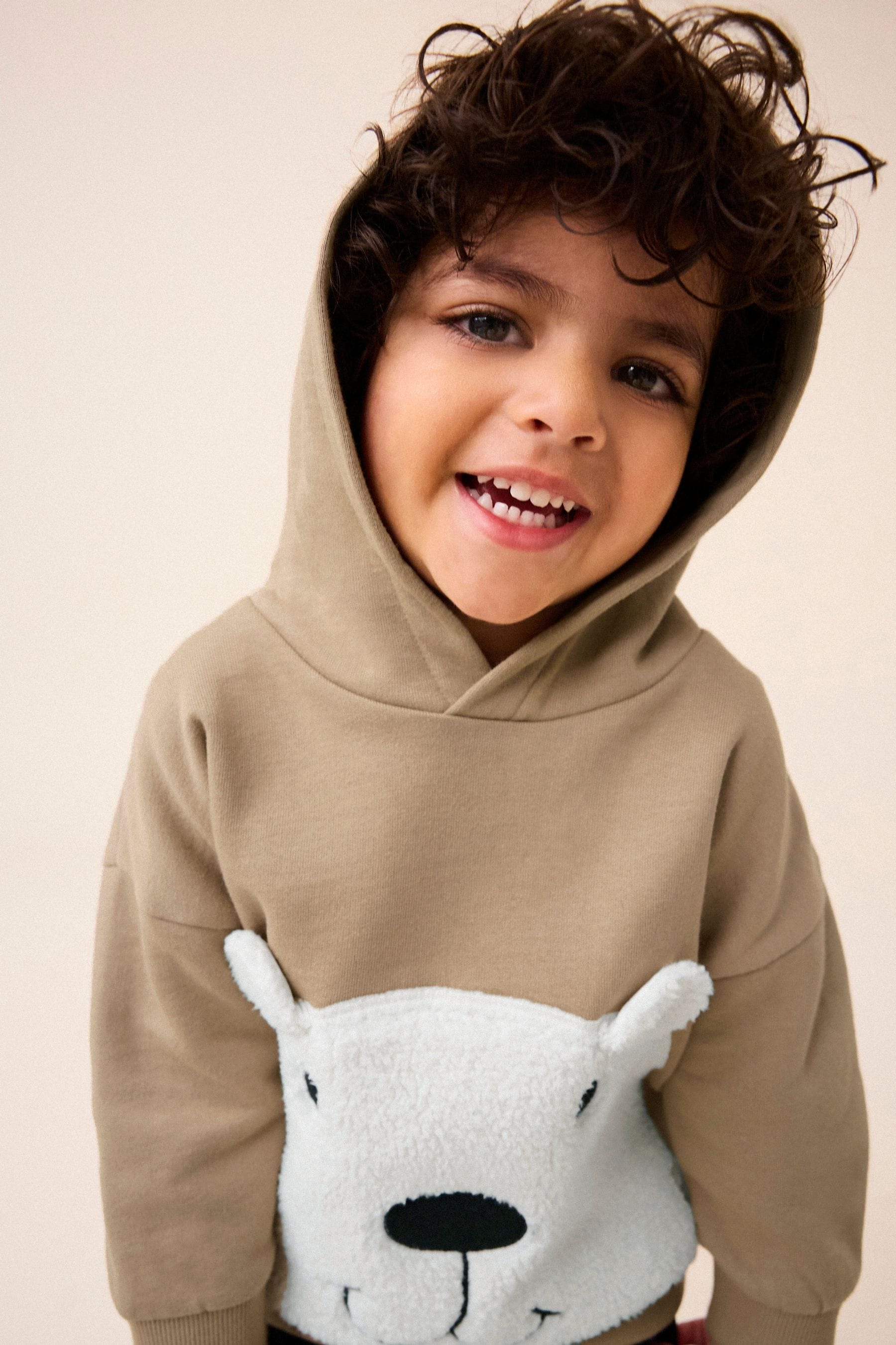 Stone Borg Bear 100% Cotton Hoodie (3mths-7yrs)