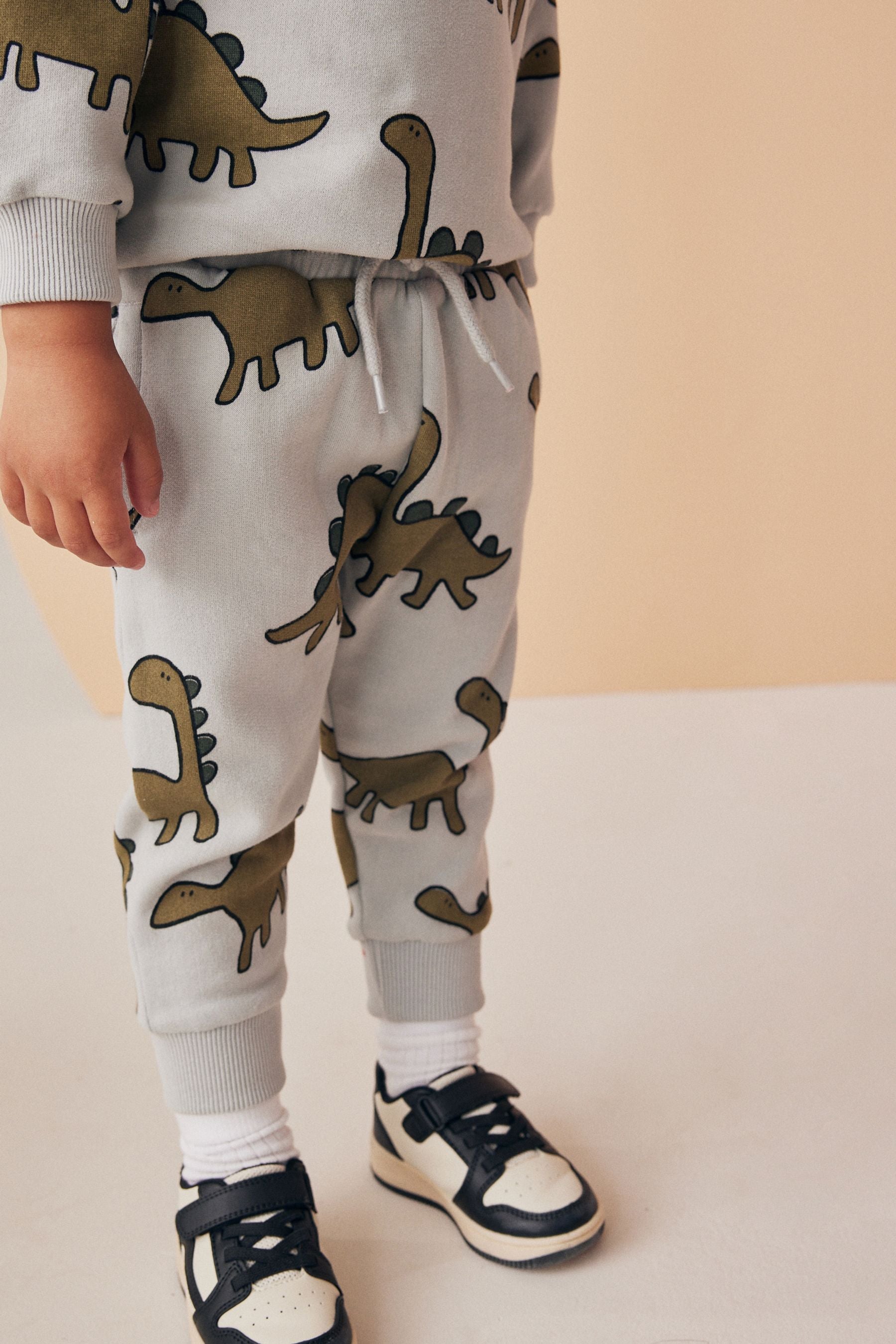 Mineral Blue Dinosaurs All Over Print Character Sweatshirt and Joggers Set (3mths-7yrs)