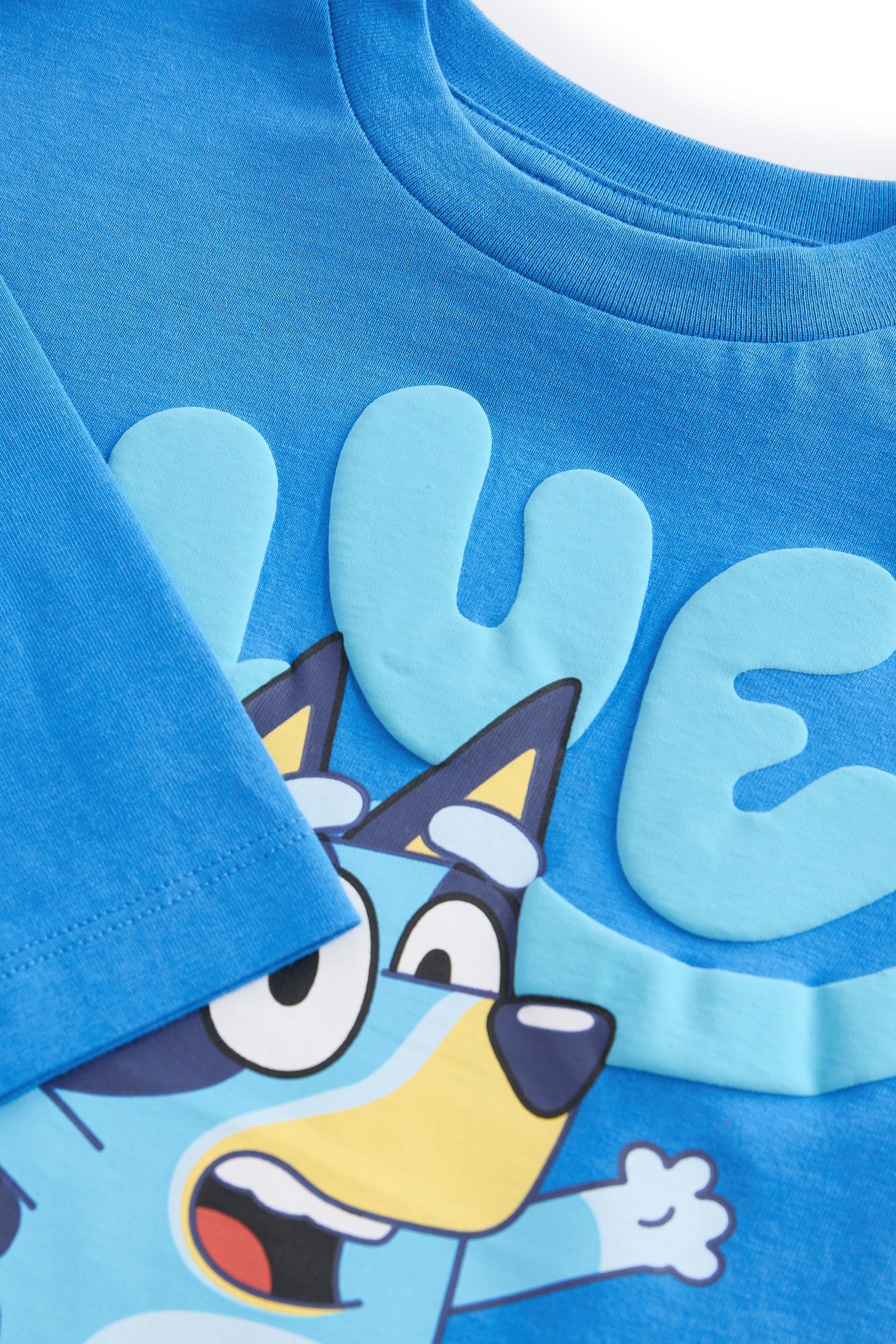 Blue Bluey Long Sleeve T-Shirt (6mths-8yrs)