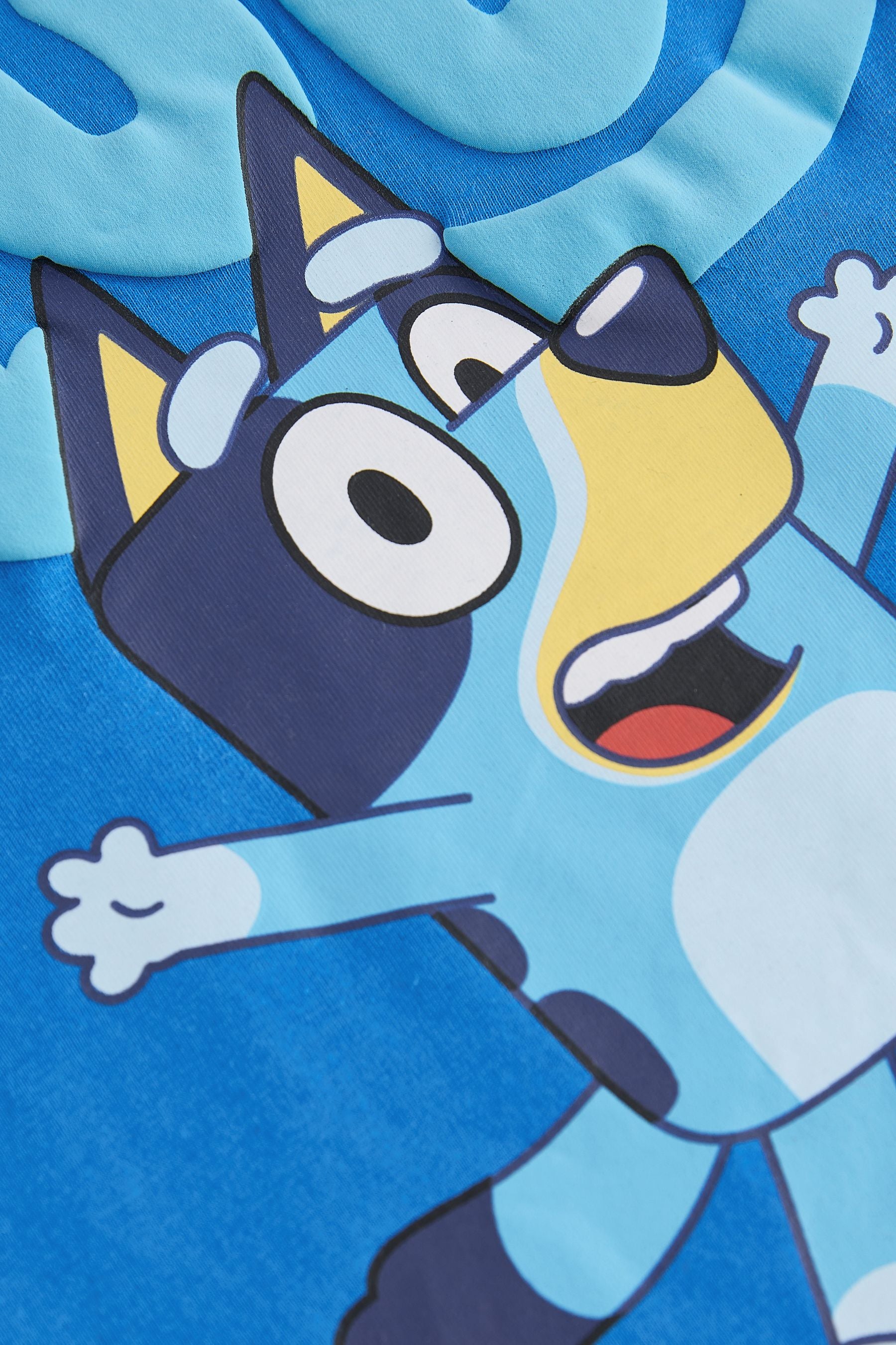 Blue Bluey Long Sleeve T-Shirt (6mths-8yrs)