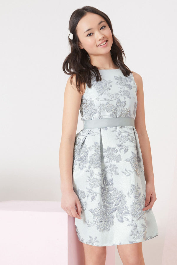 Silver Jacquard Dress