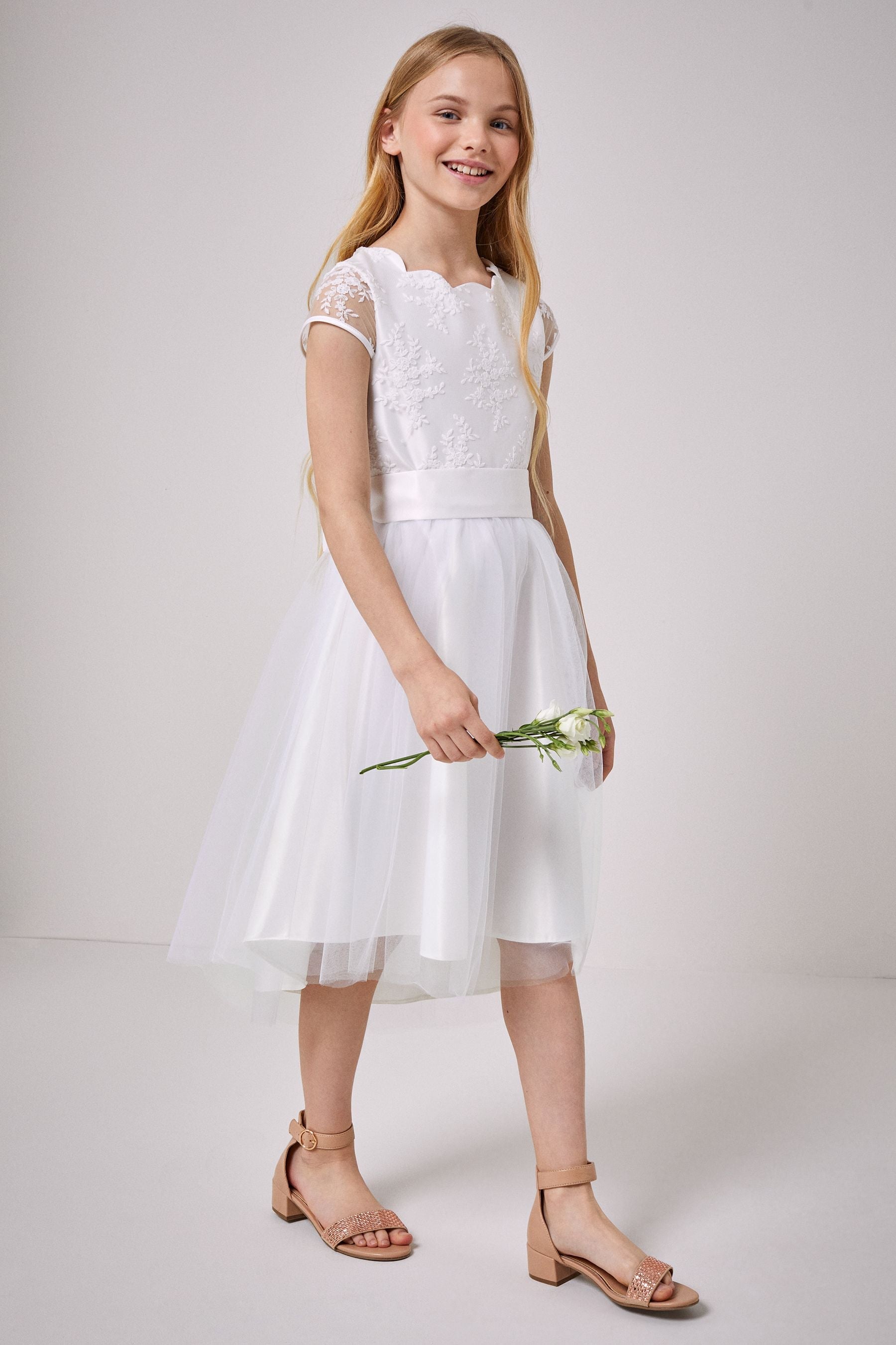 Ivory Tulle Lace Cap Sleeve Occasion Dress