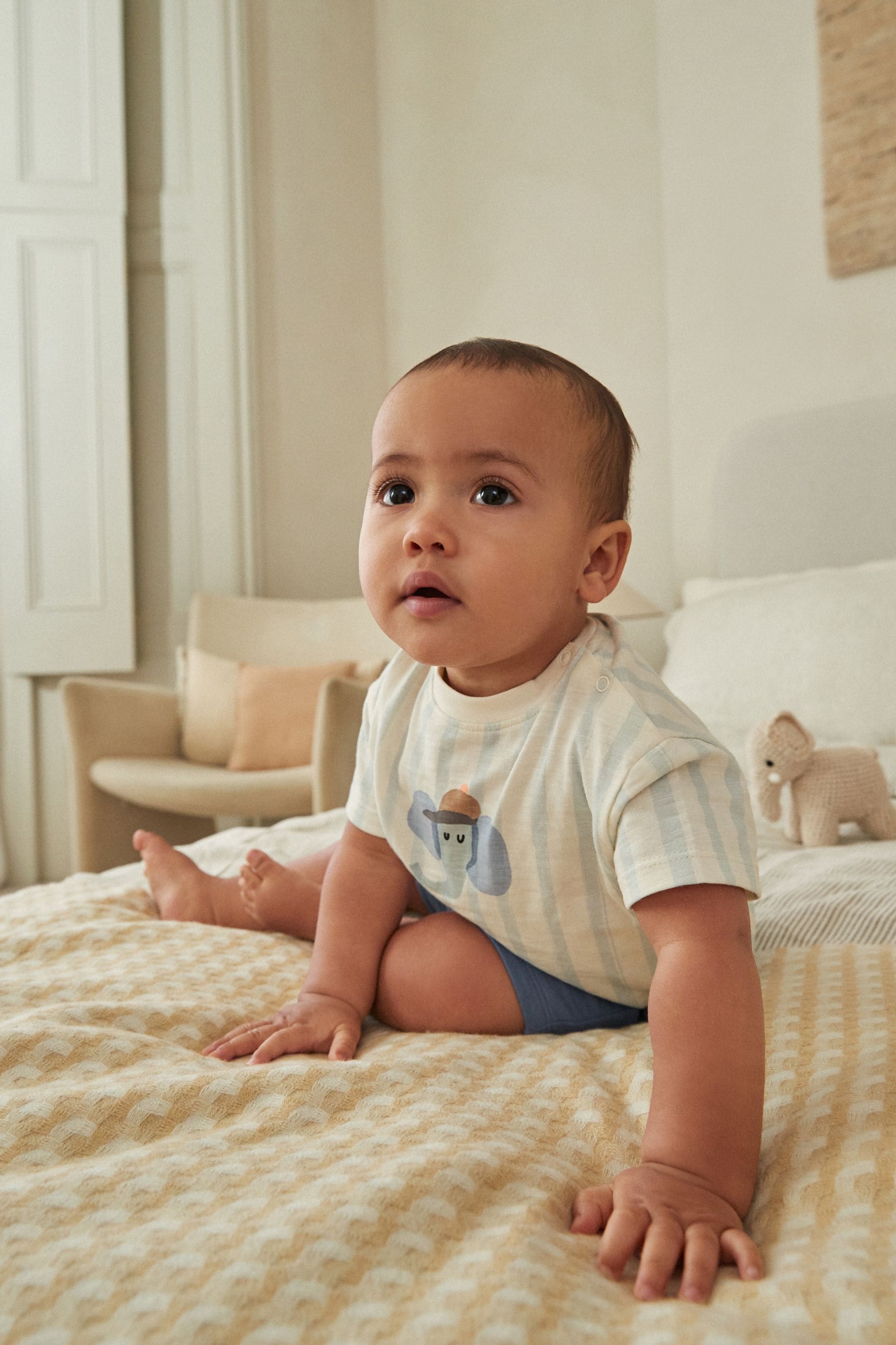 Blue Elephant Baby T-Shirt And Shorts 2 Piece Set