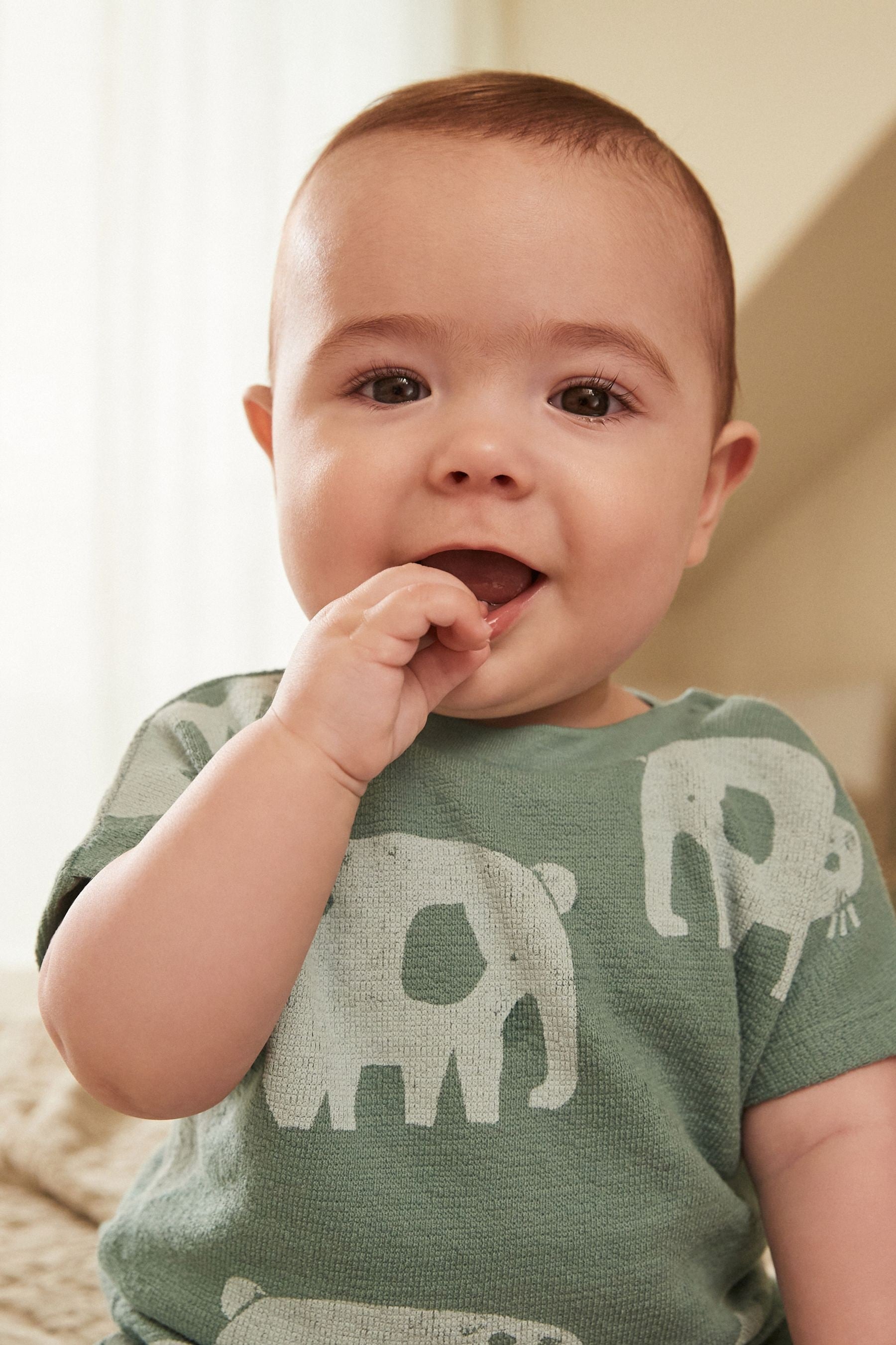 Teal Blue Elephant Baby T-Shirt And Shorts 2 Piece Set