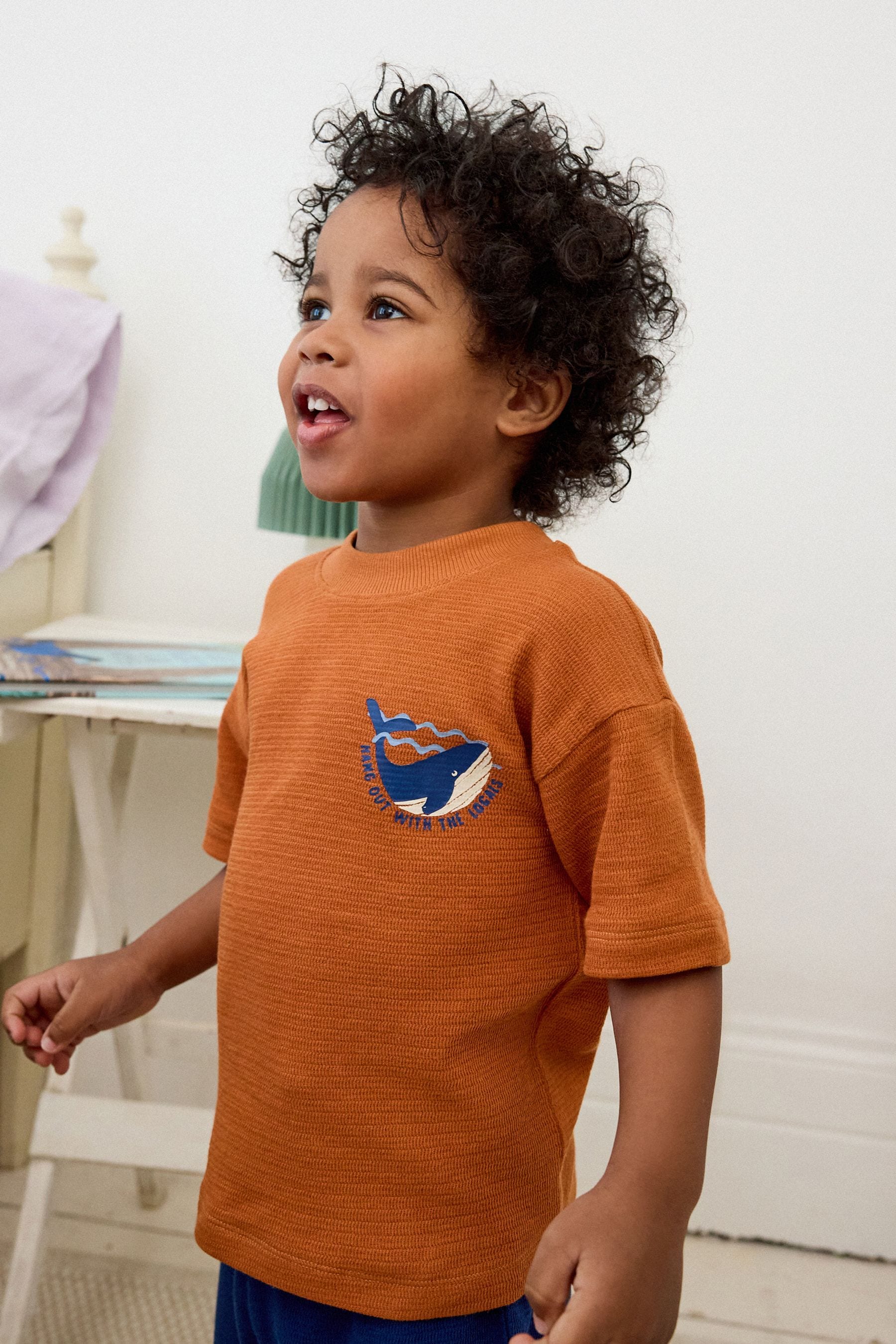 Rust/Navy Textured Whale Short Sleeve 3 Pack Pyjama Set (9mths-12yrs)