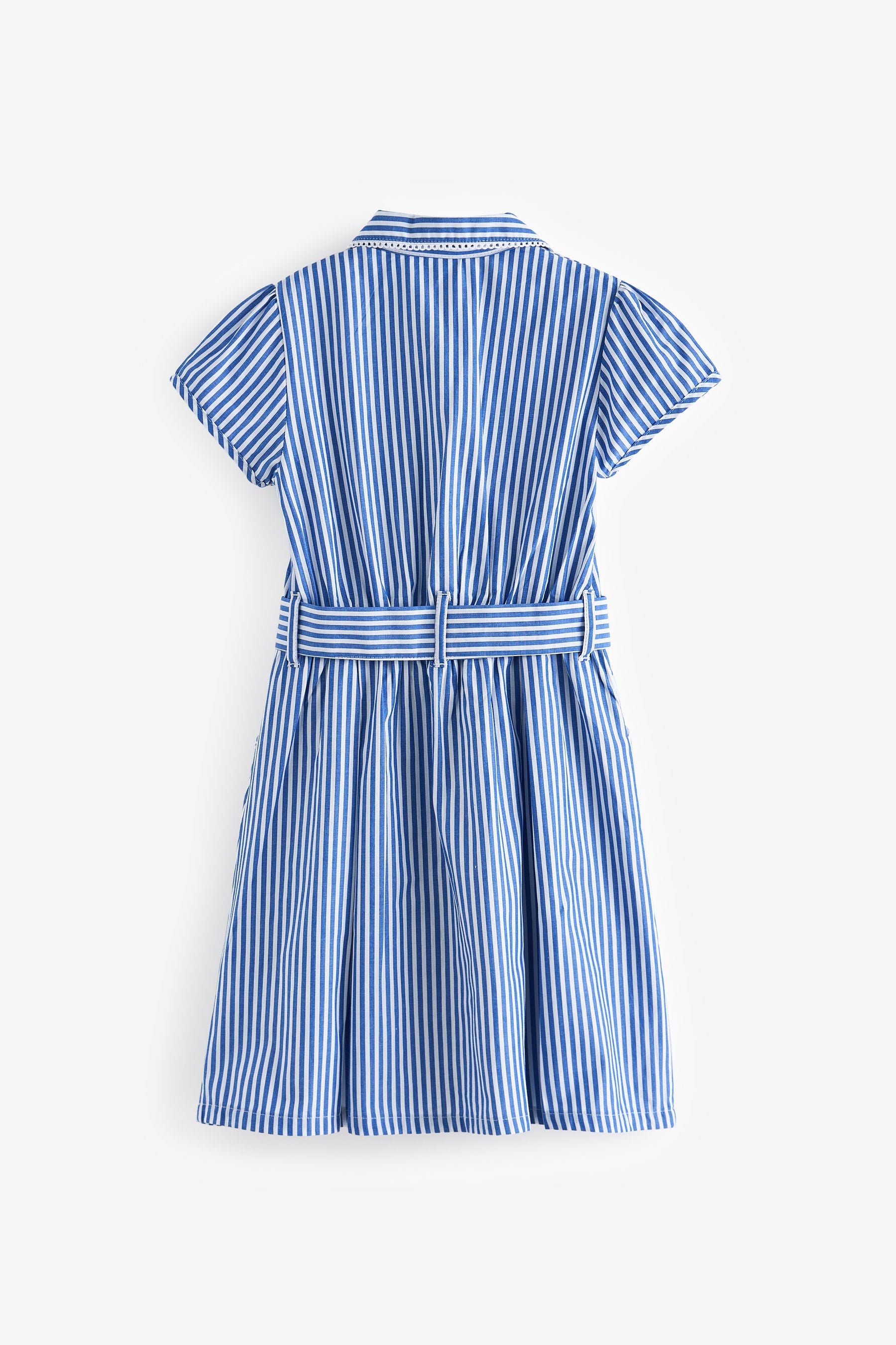 Blue Stripe Cotton Rich Belted School Dress With Scrunchie (3-14yrs)