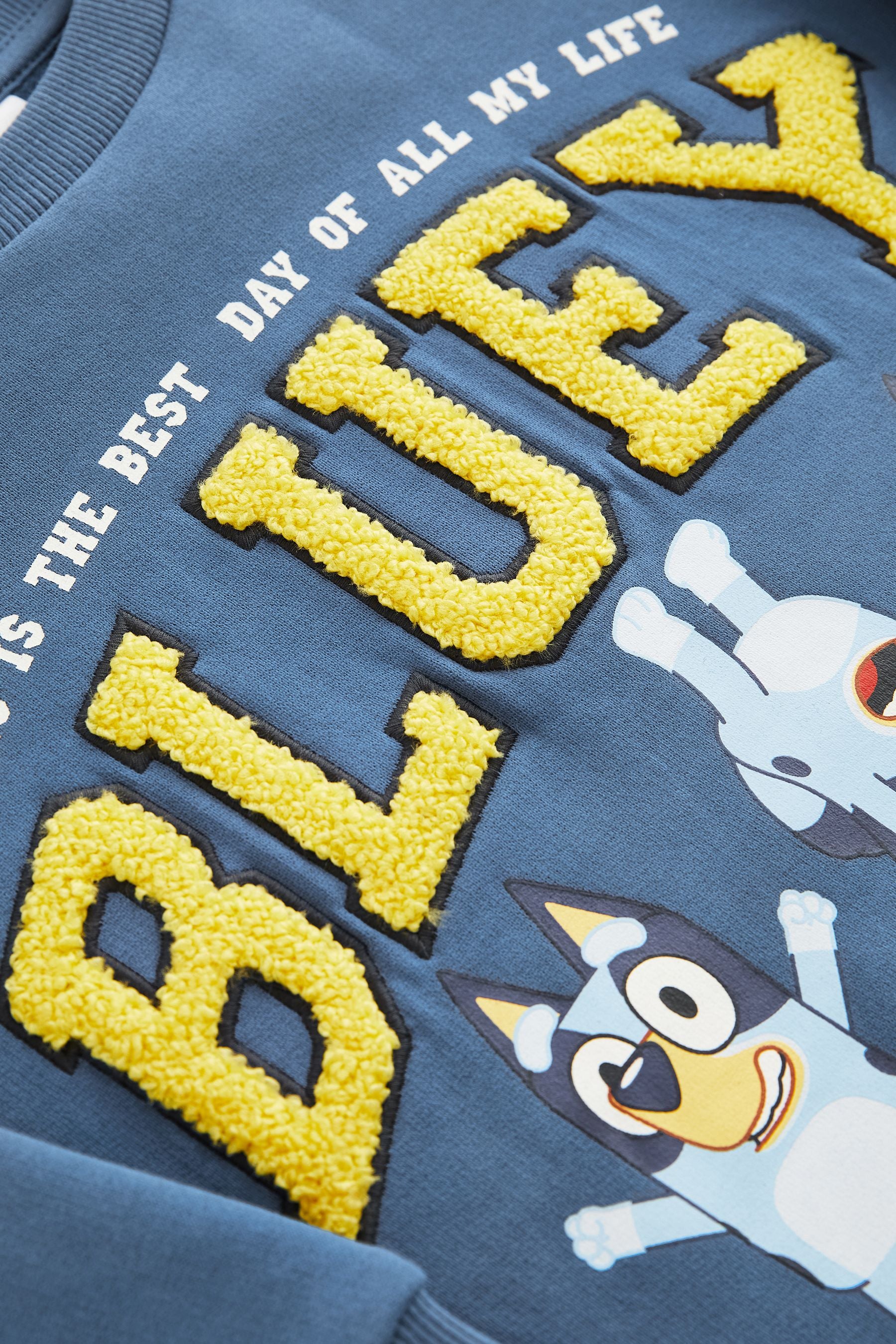 Blue Bluey Crew Neck Sweatshirt (3mths-8yrs)