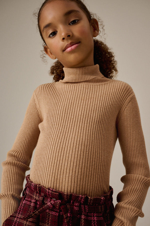 Tan Brown Roll Neck Jumper (3-16yrs)