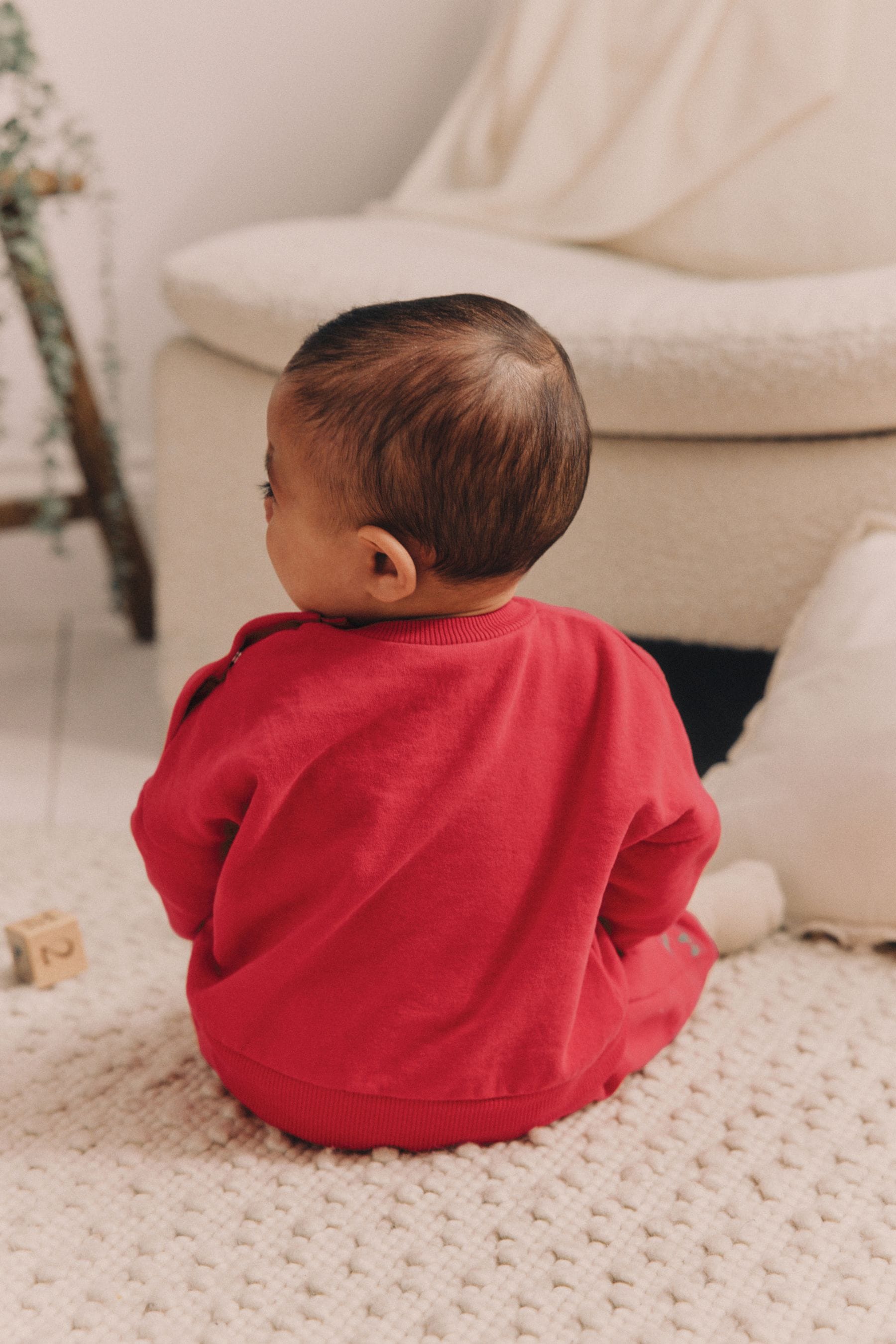 Red Dino Baby Sweatshirt and Joggers Set