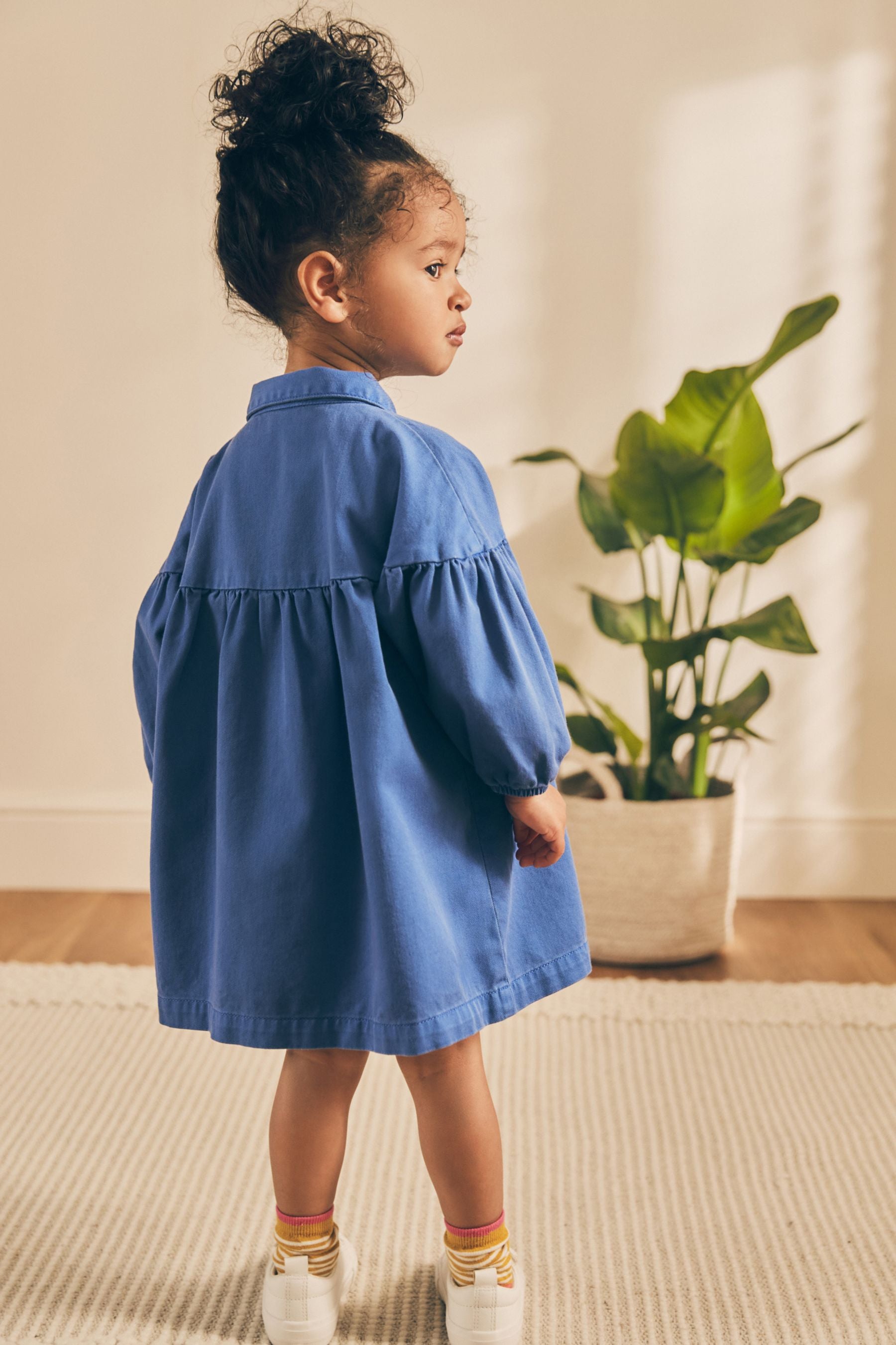 Cobalt Blue Character 100% Cotton Shirt Dress (3mths-8yrs)