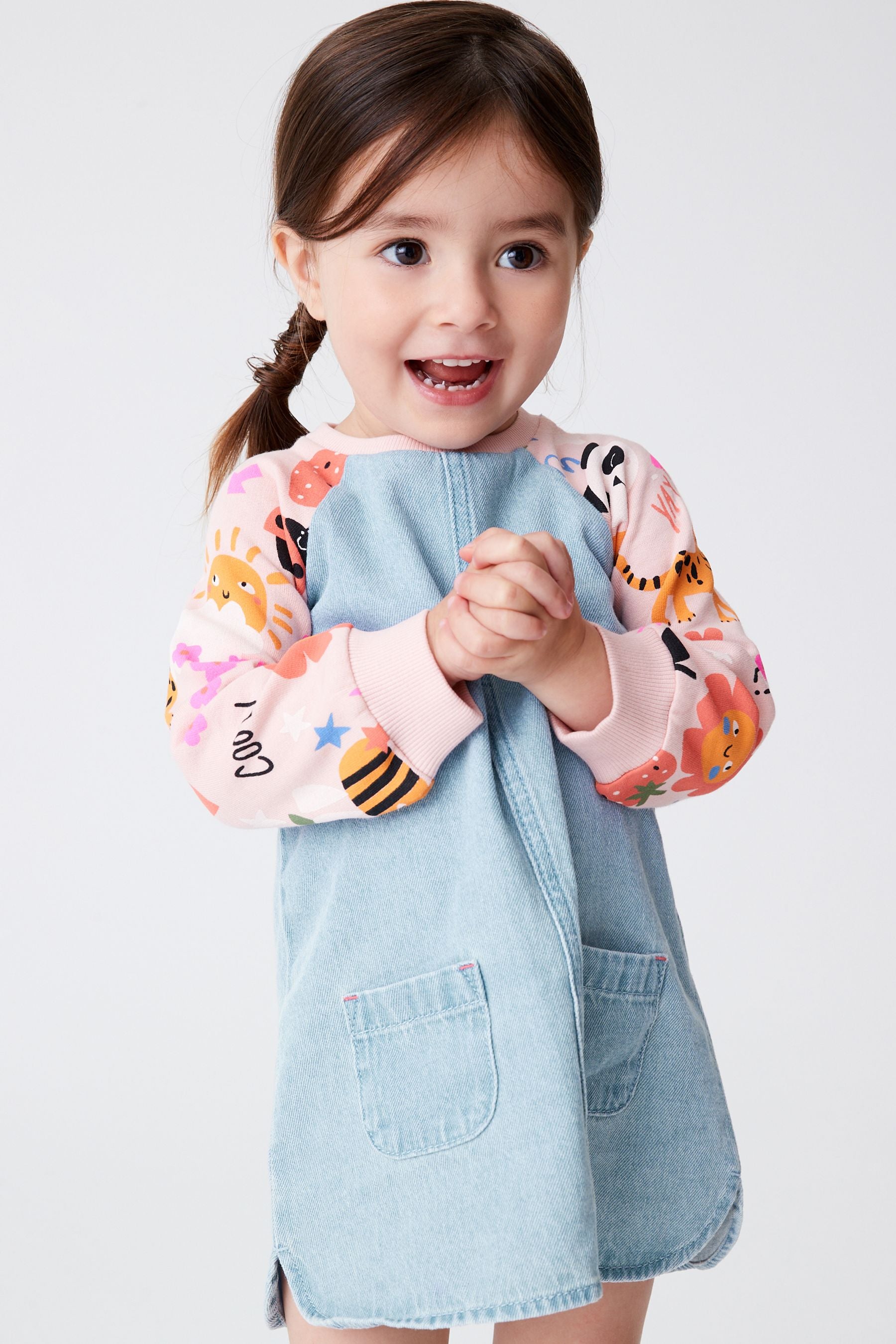 Pink Panda Print Raglan Denim Dress (3mths-7yrs)