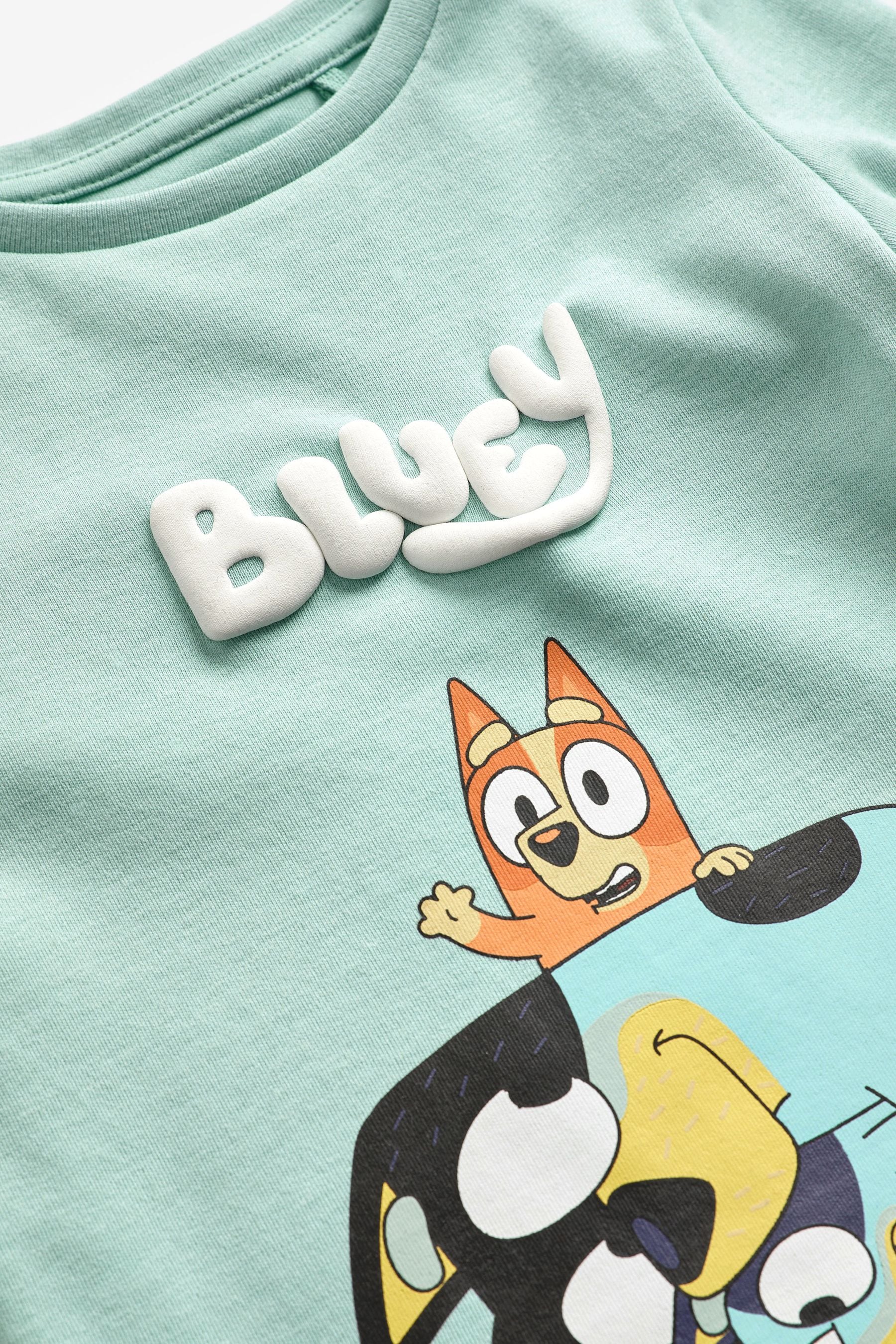 Bluey License Pyjamas (9mths-8yrs)