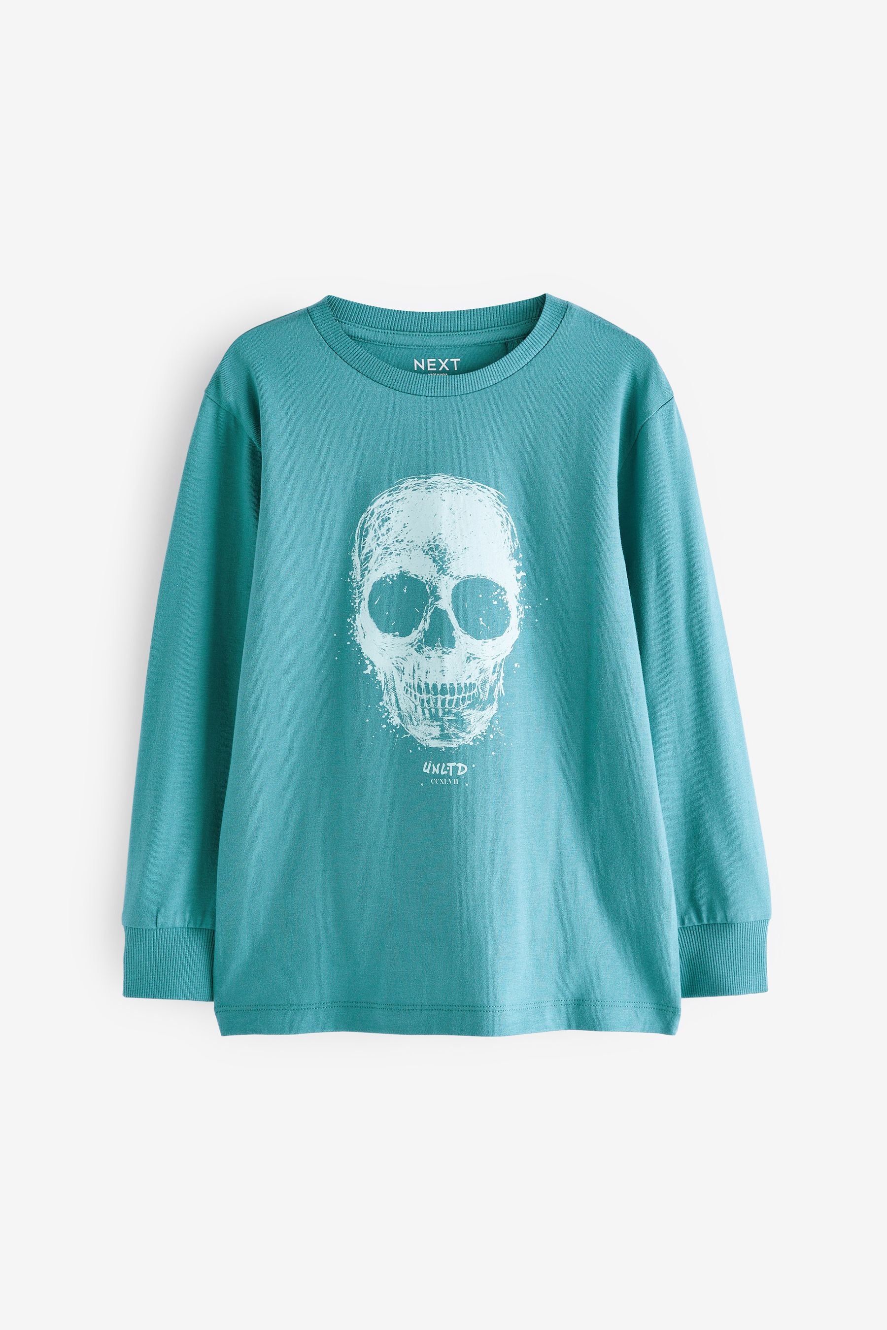 Blue Skull Long Sleeve Graphic T-Shirt (3-16yrs)