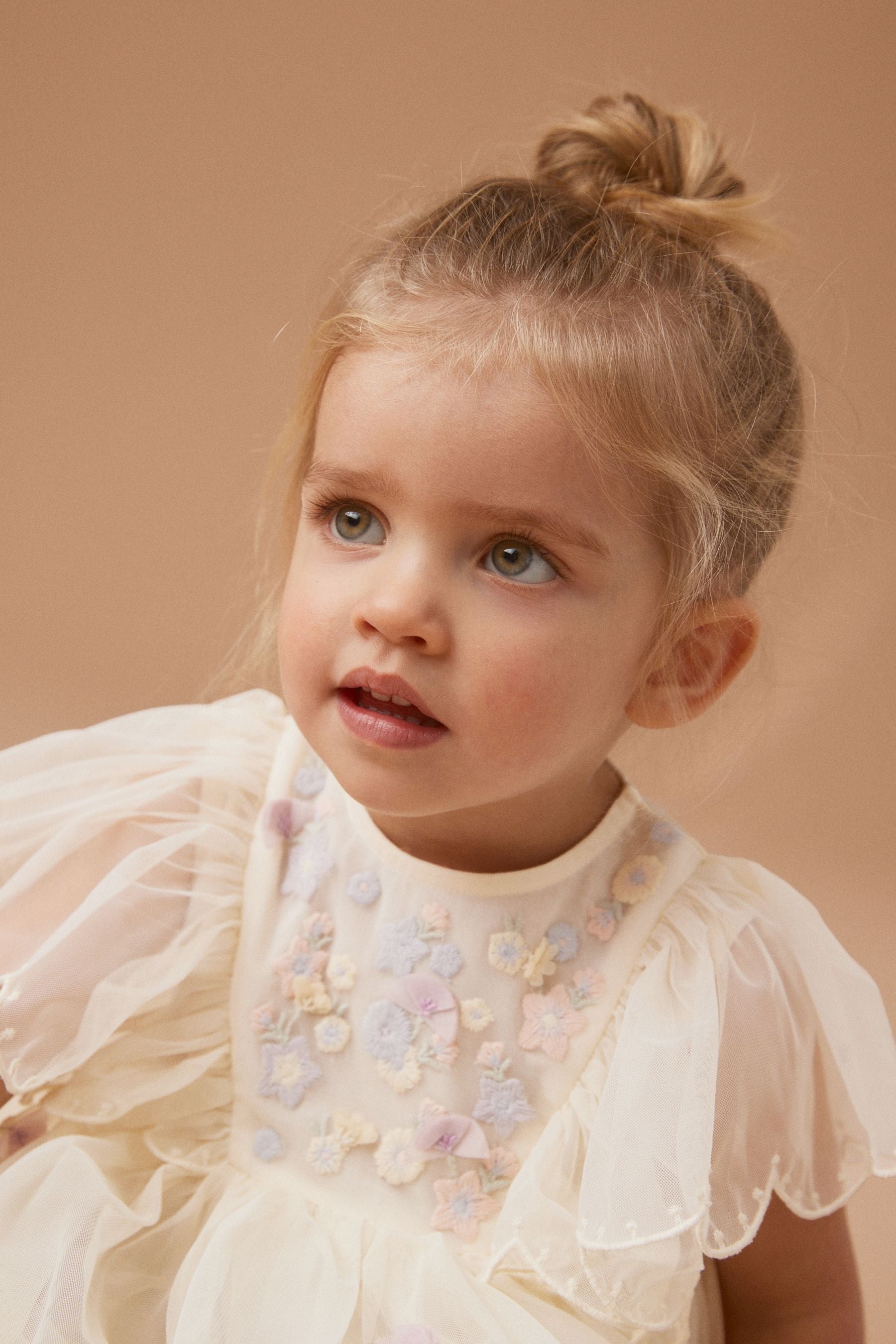 Cream Embroidered Mesh Party Dress (3mths-7yrs)