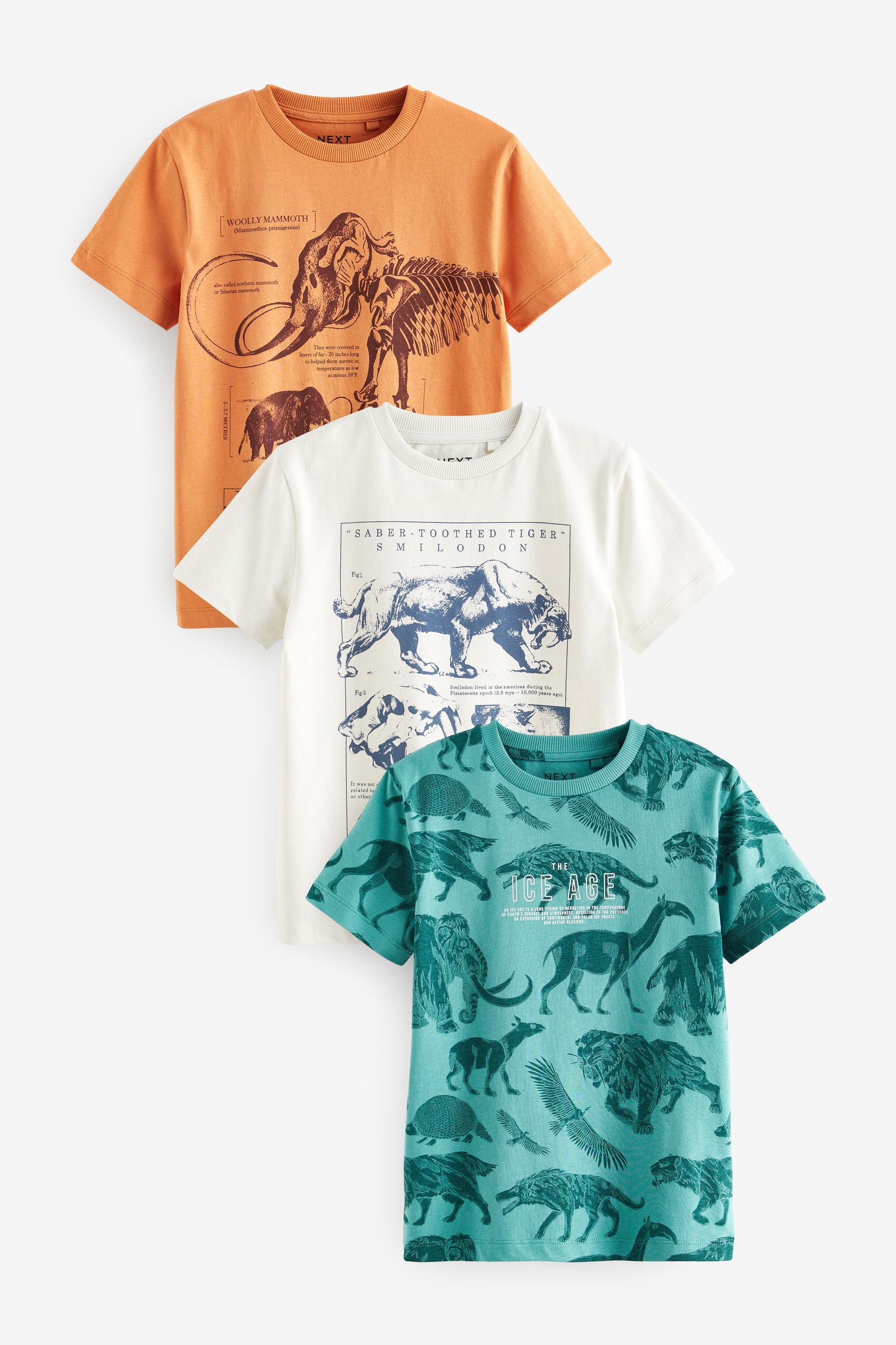 Orange/Teal Blue The Ice age Graphic Regular Fit Short Sleeve T-Shirts 3 Pack (3-16yrs)