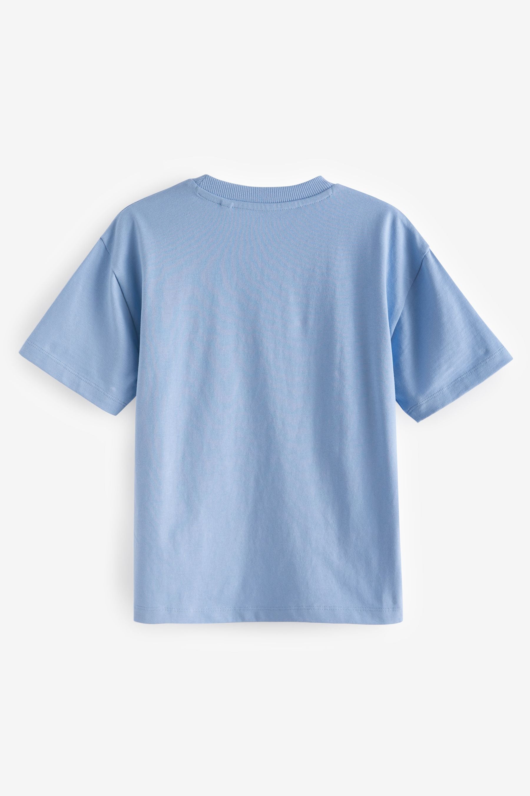 Blue Skate Photo Relaxed Fit Short Sleeve Graphic T-Shirt (3-16yrs)