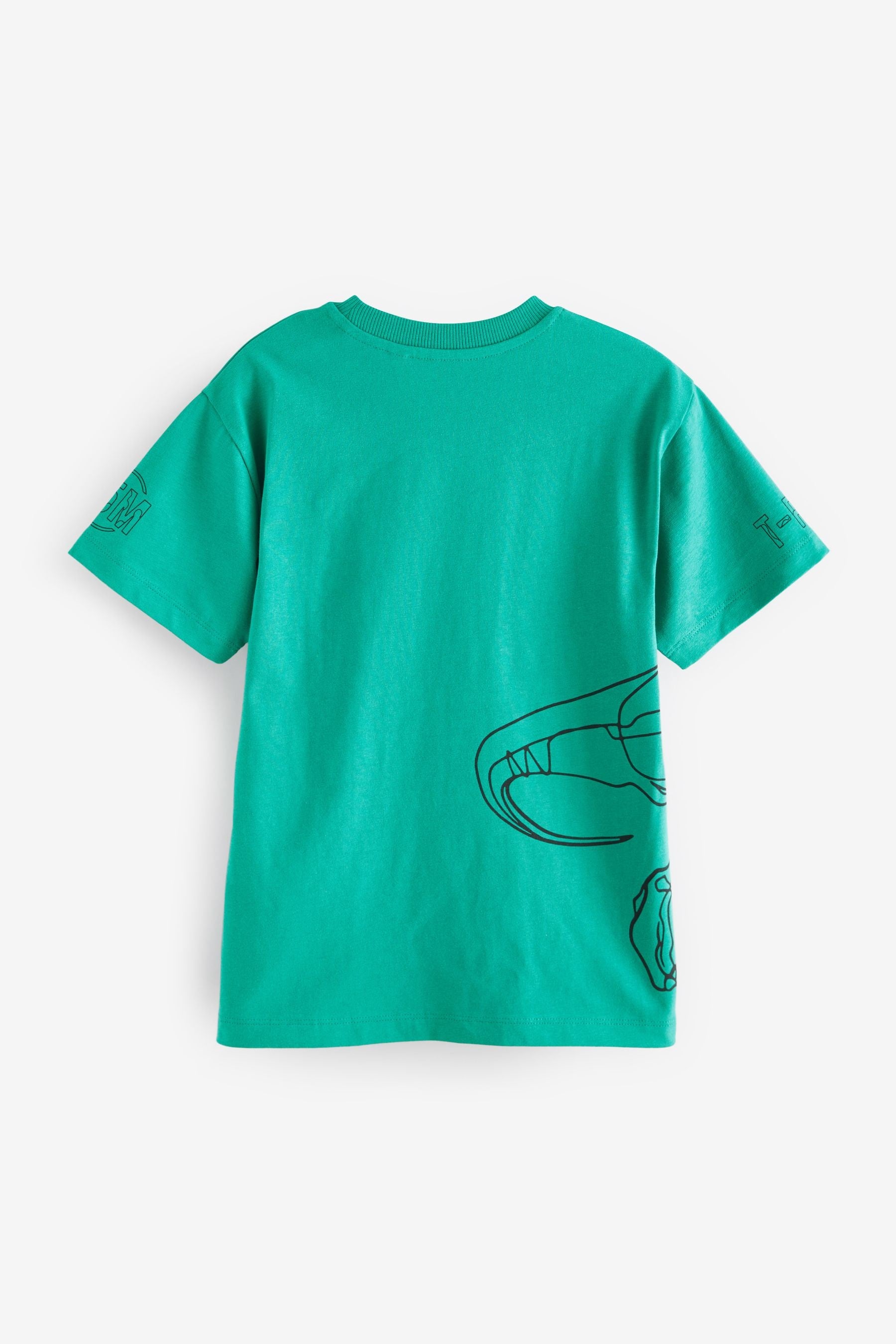 Green Linear Dino Relaxed Fit Short Sleeve Graphic T-Shirt (3-16yrs)