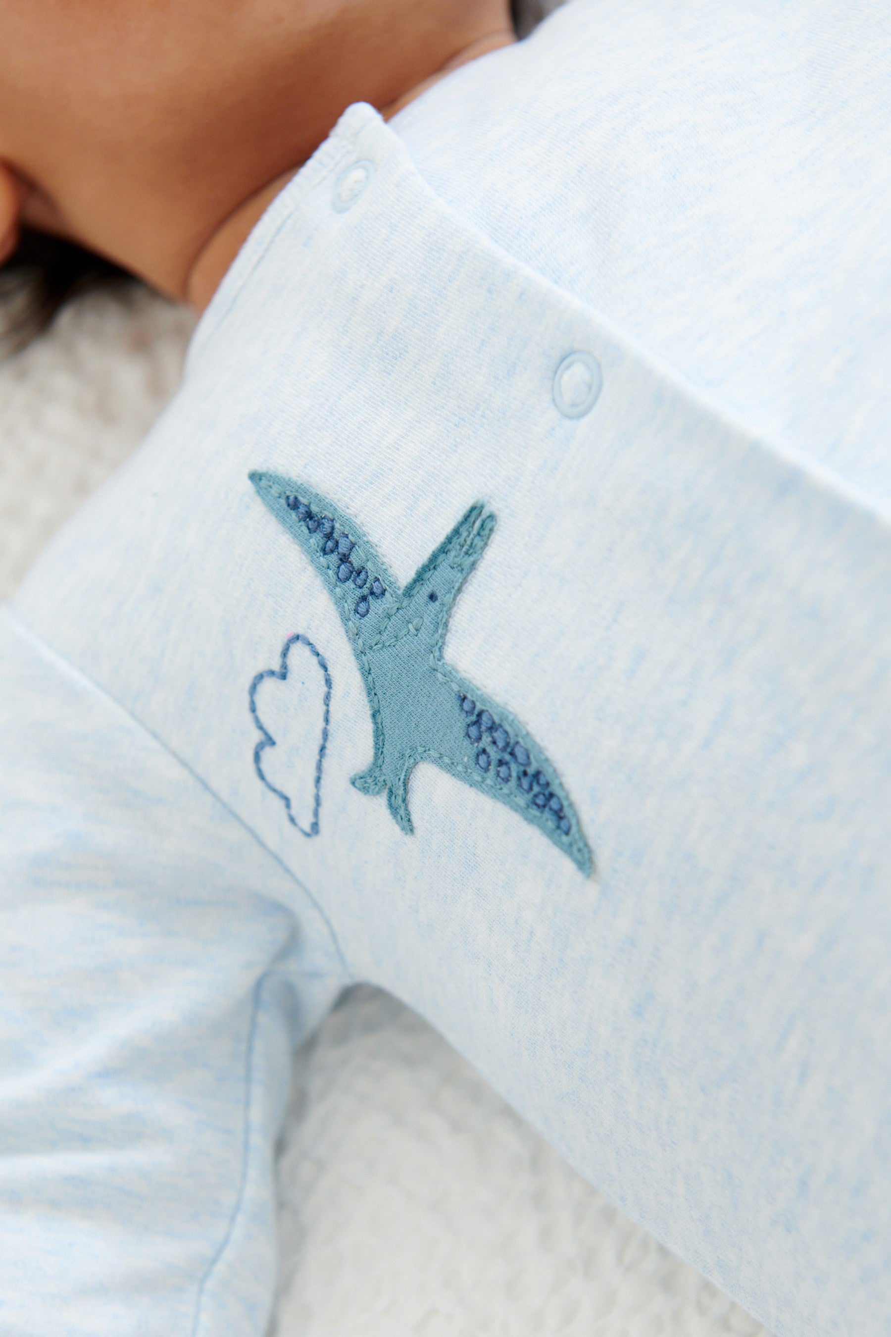 Blue Dinosaur 3 Pack Embroidered Baby Sleepsuits (0mths-2yrs)