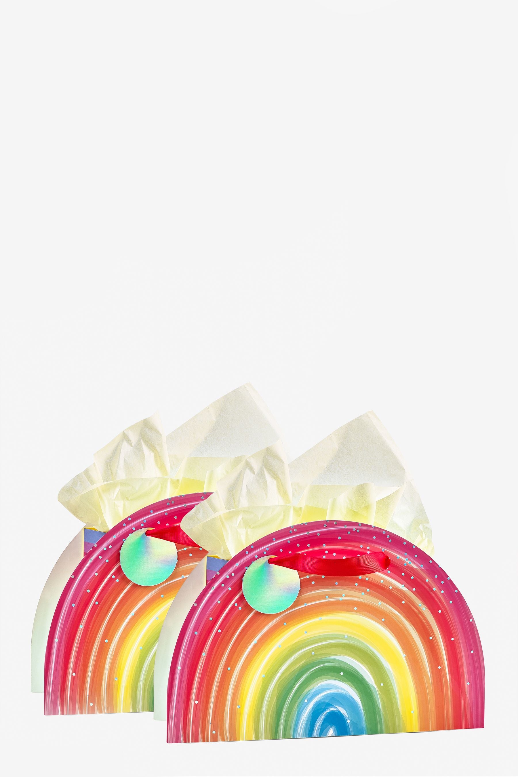 Multi Set of 2 Rainbow Shaped Gift Bags