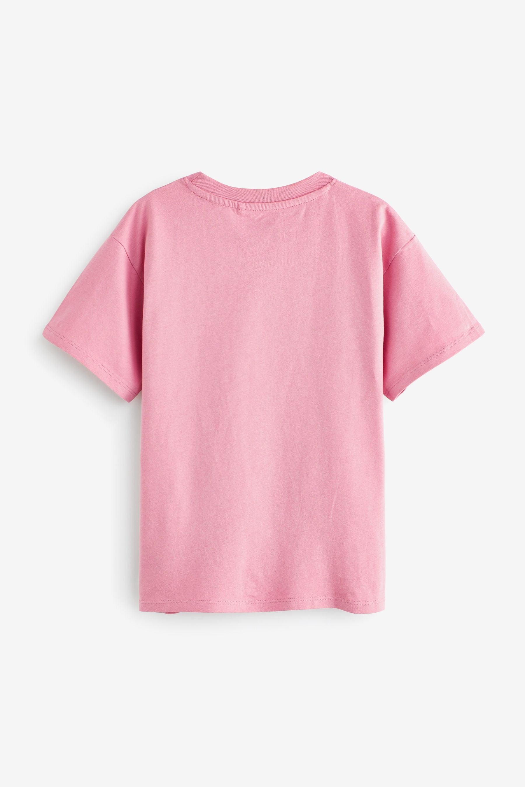 Minerals 4 Pack Oversized T-Shirts (3-16yrs)