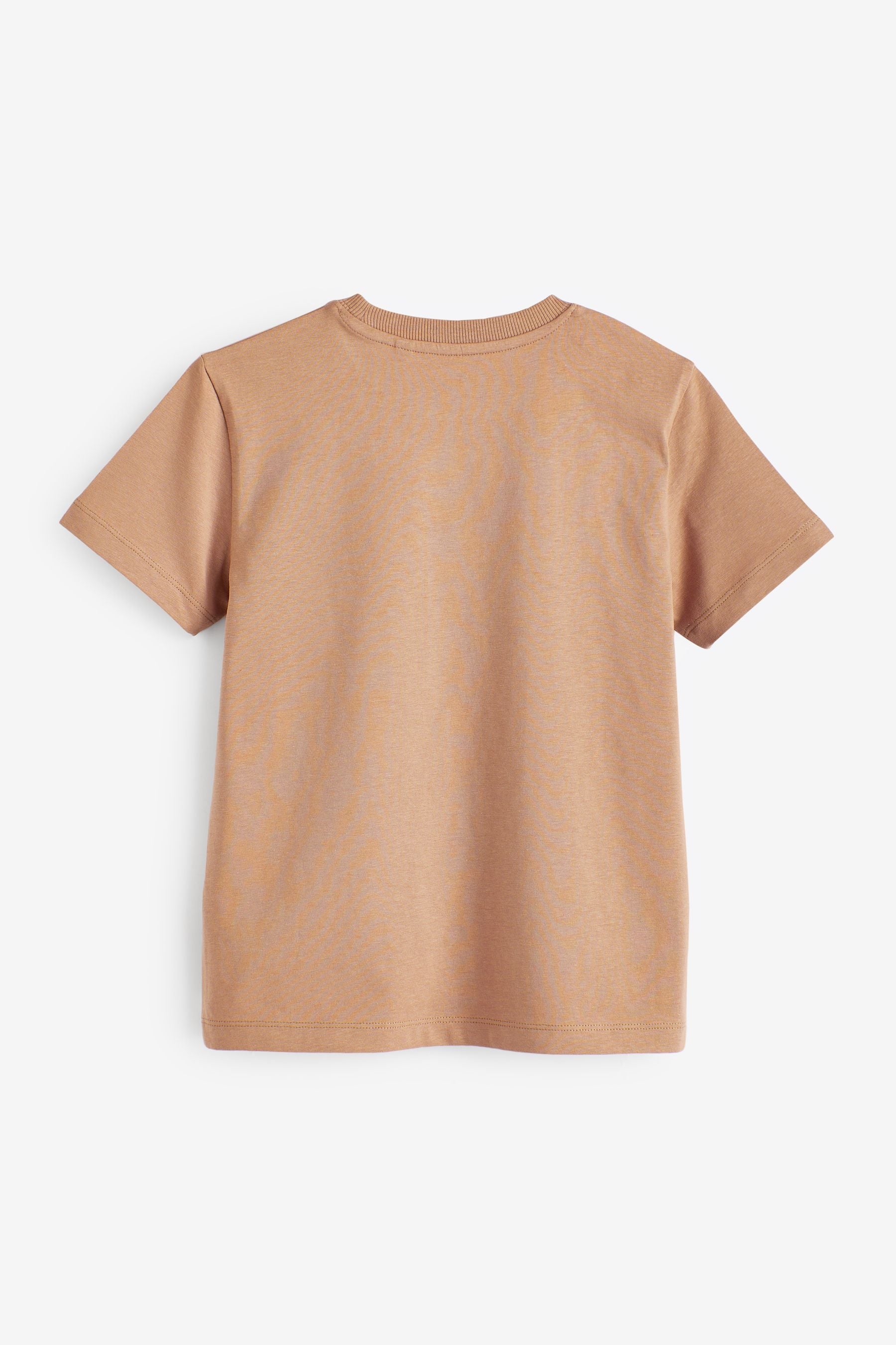 Neutral Tan Cotton Short Sleeve T-Shirt (3-16yrs)