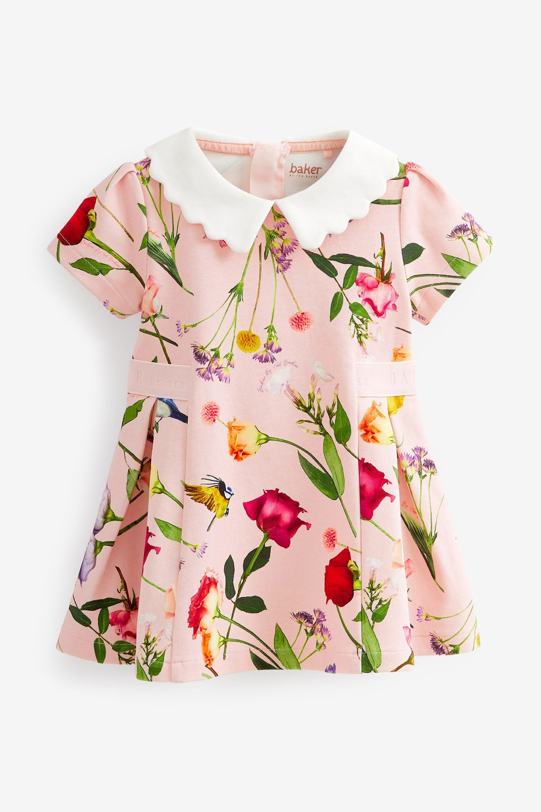 Pink Baker by Ted Baker Pink Floral Ponte Dress