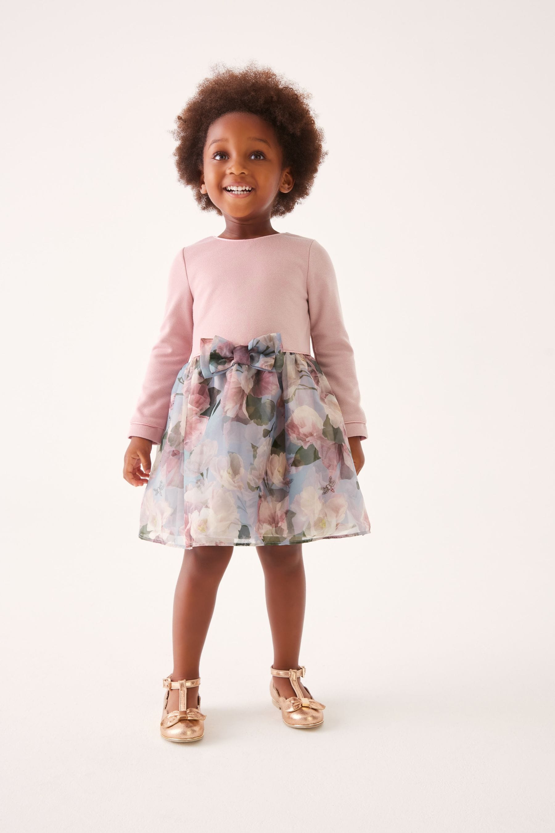 Pink Baker by Ted Baker (0-6yrs) Pink Long Sleeve Organza Dress