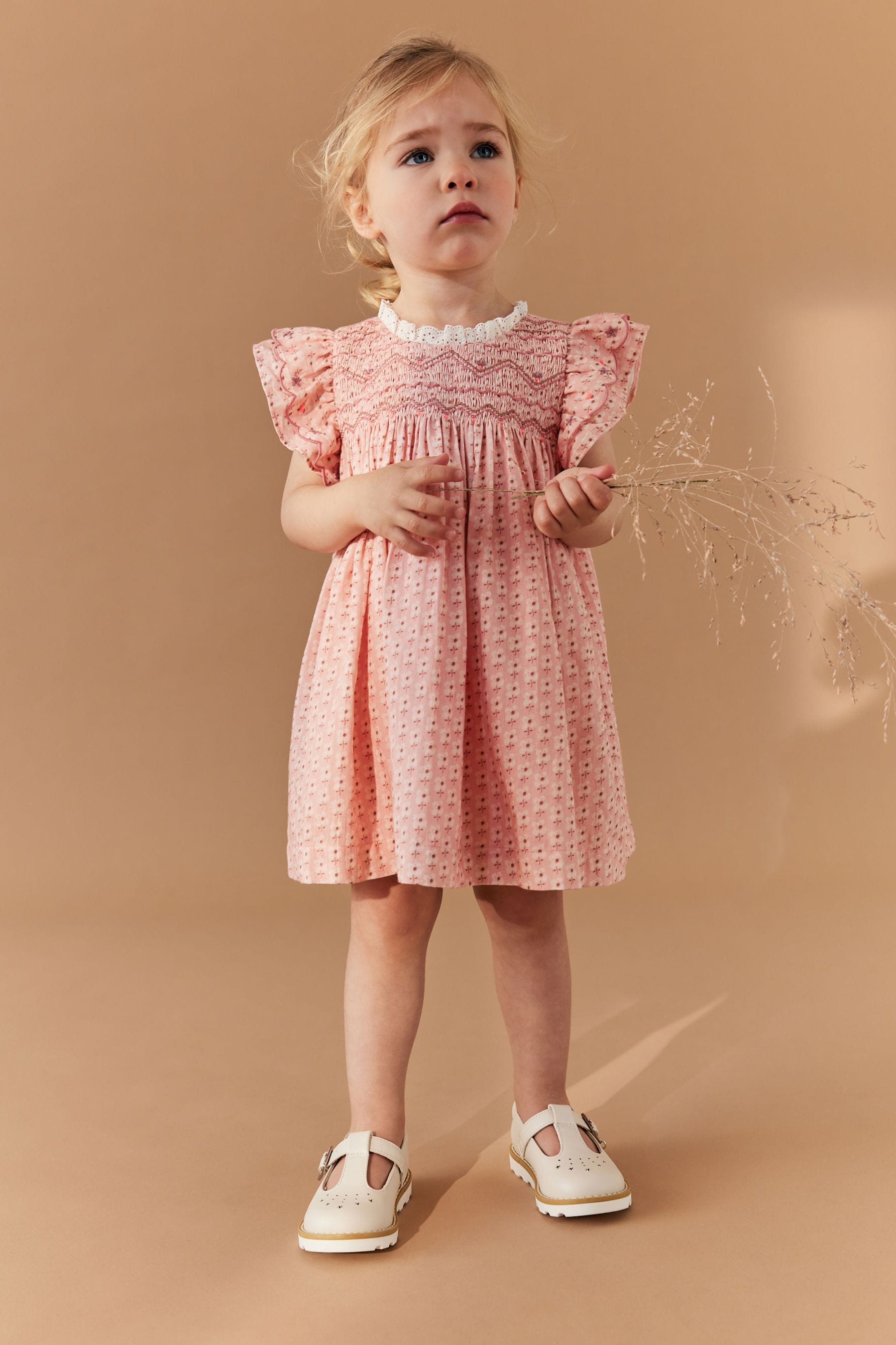 Pink Embroidered Shirred Frill Sleeve Dress (3mths-8yrs)