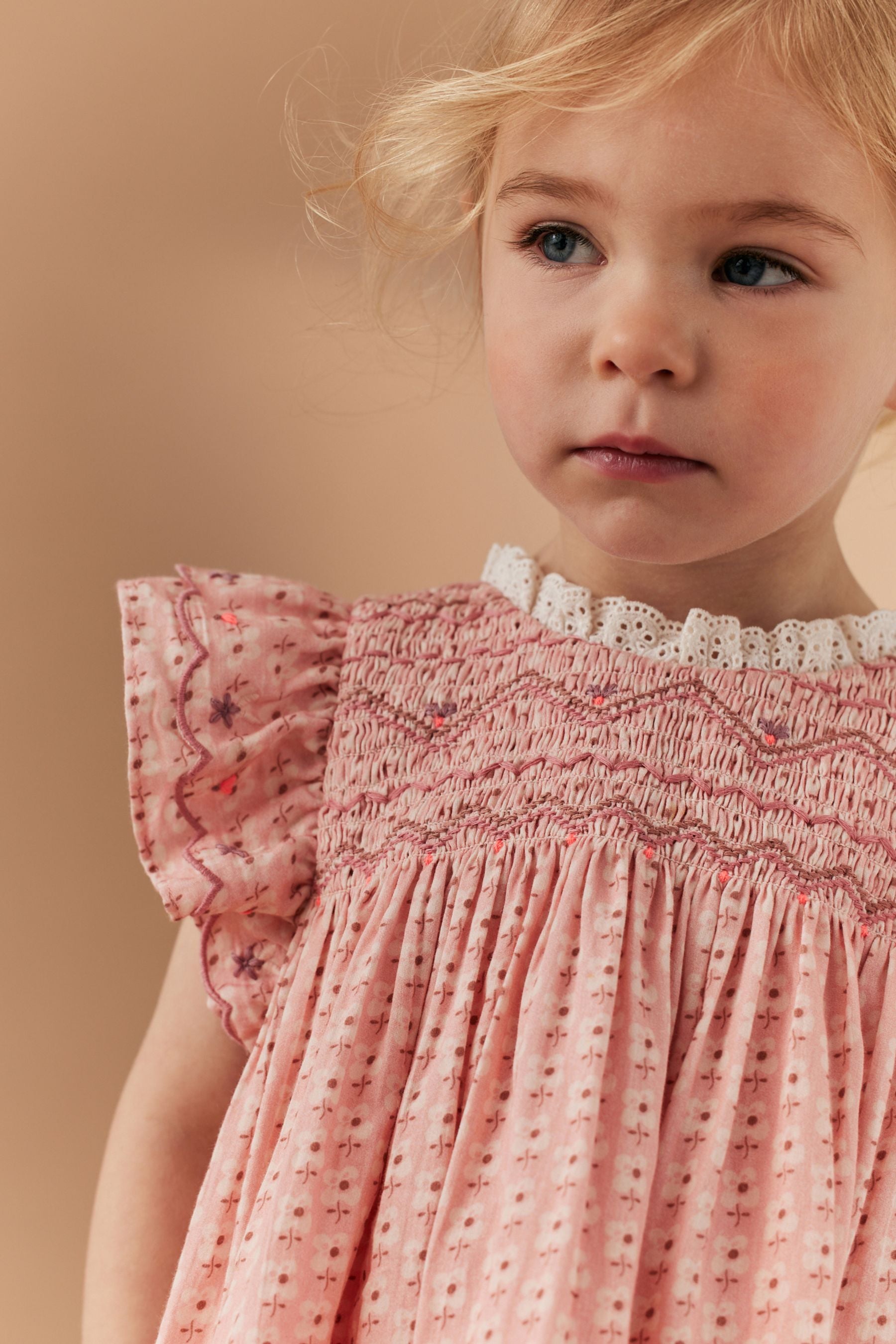 Pink Embroidered Shirred Frill Sleeve Dress (3mths-8yrs)