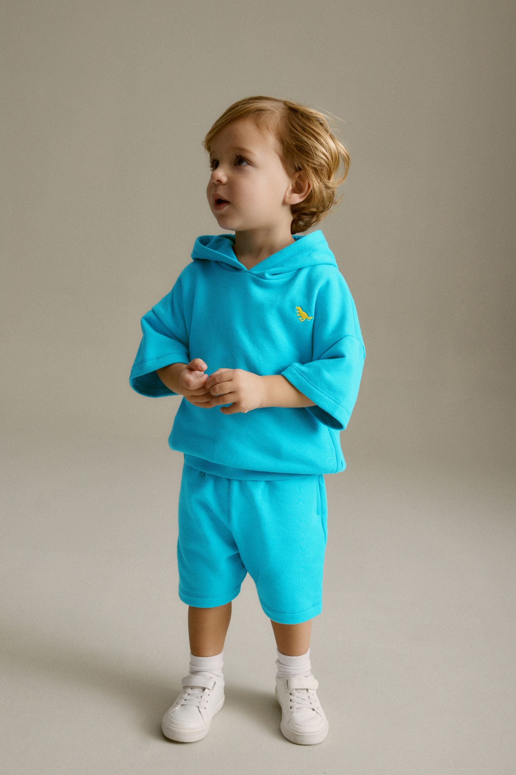 Blue Short Sleeve Hooded Sweatshirt and Shorts Set (3mths-7yrs)