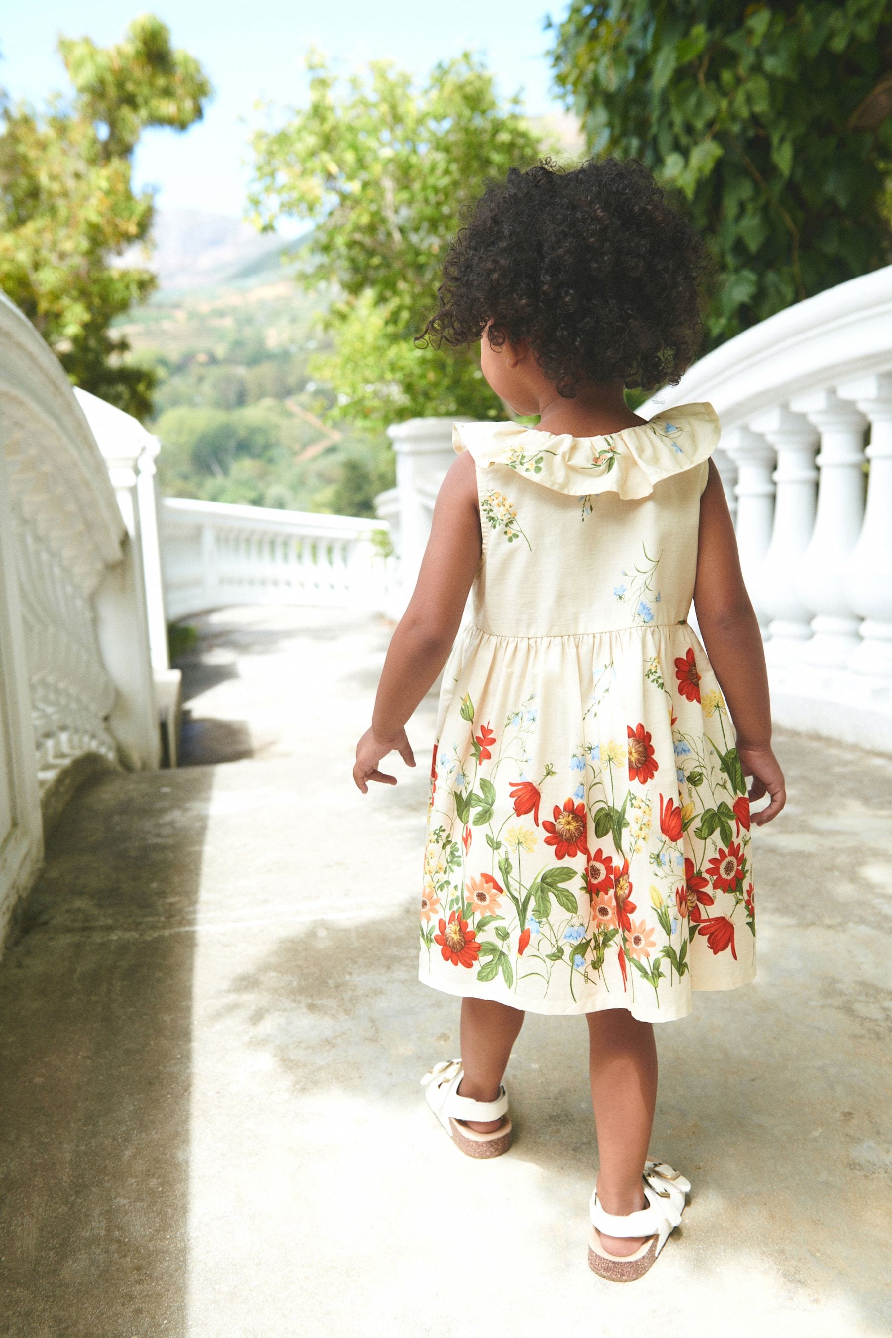 Cream/Red Border Print Ruffle Collar Dress (3mths-8yrs)