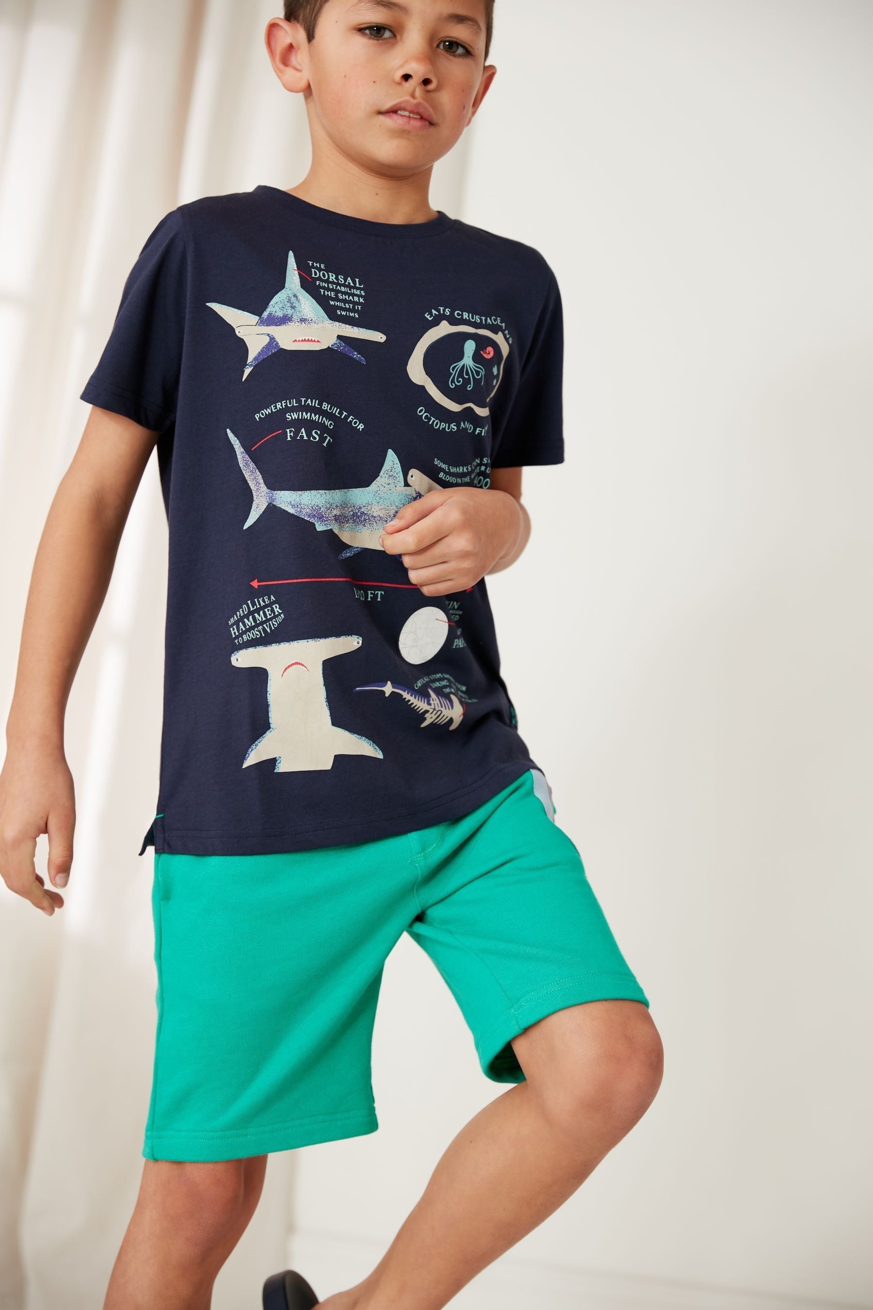 Joules Blue Ben Short Sleeve Screenprint Artwork T-Shirt