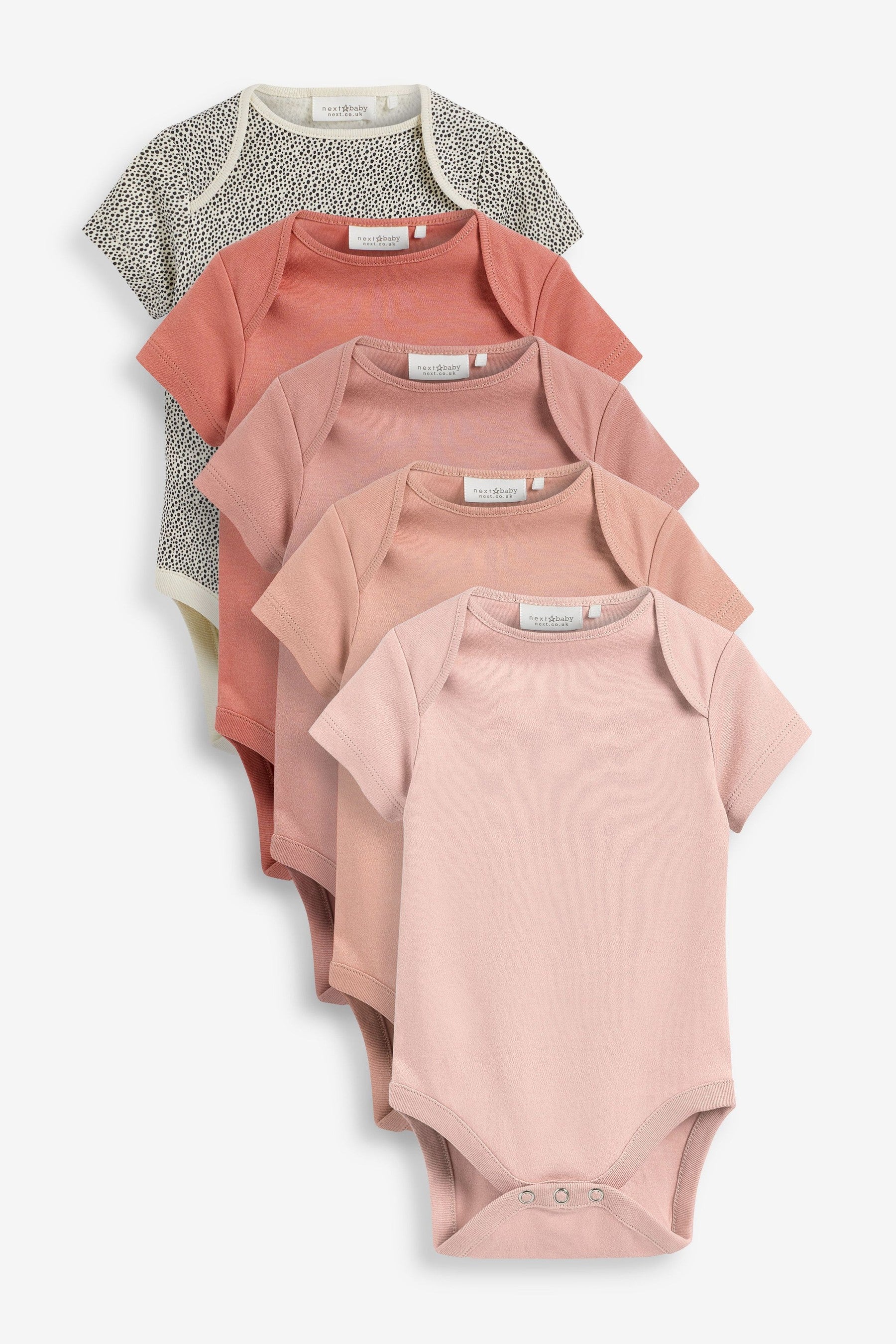 Dusky Pink Baby 5 Pack Essential Short Sleeve Bodysuits (0mths-3yrs)