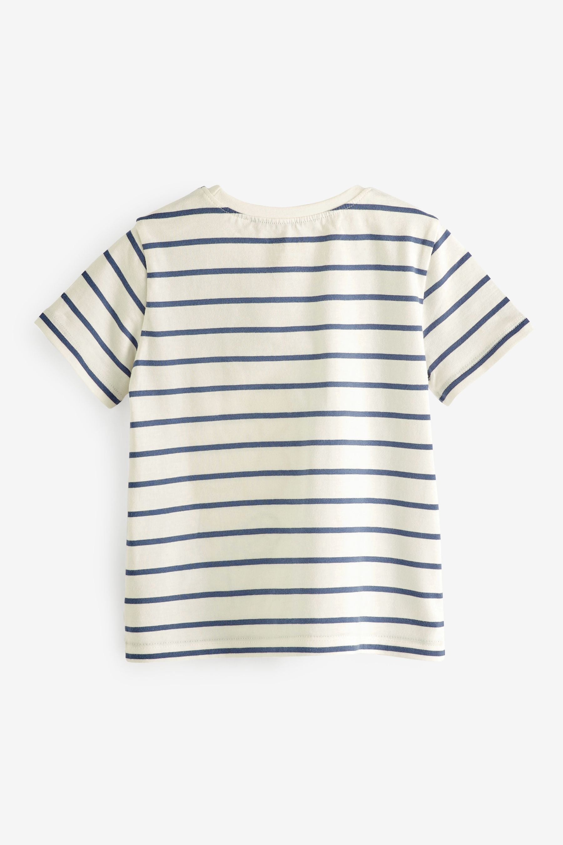 Navy Flower Striped T-Shirt (3mths-7yrs)