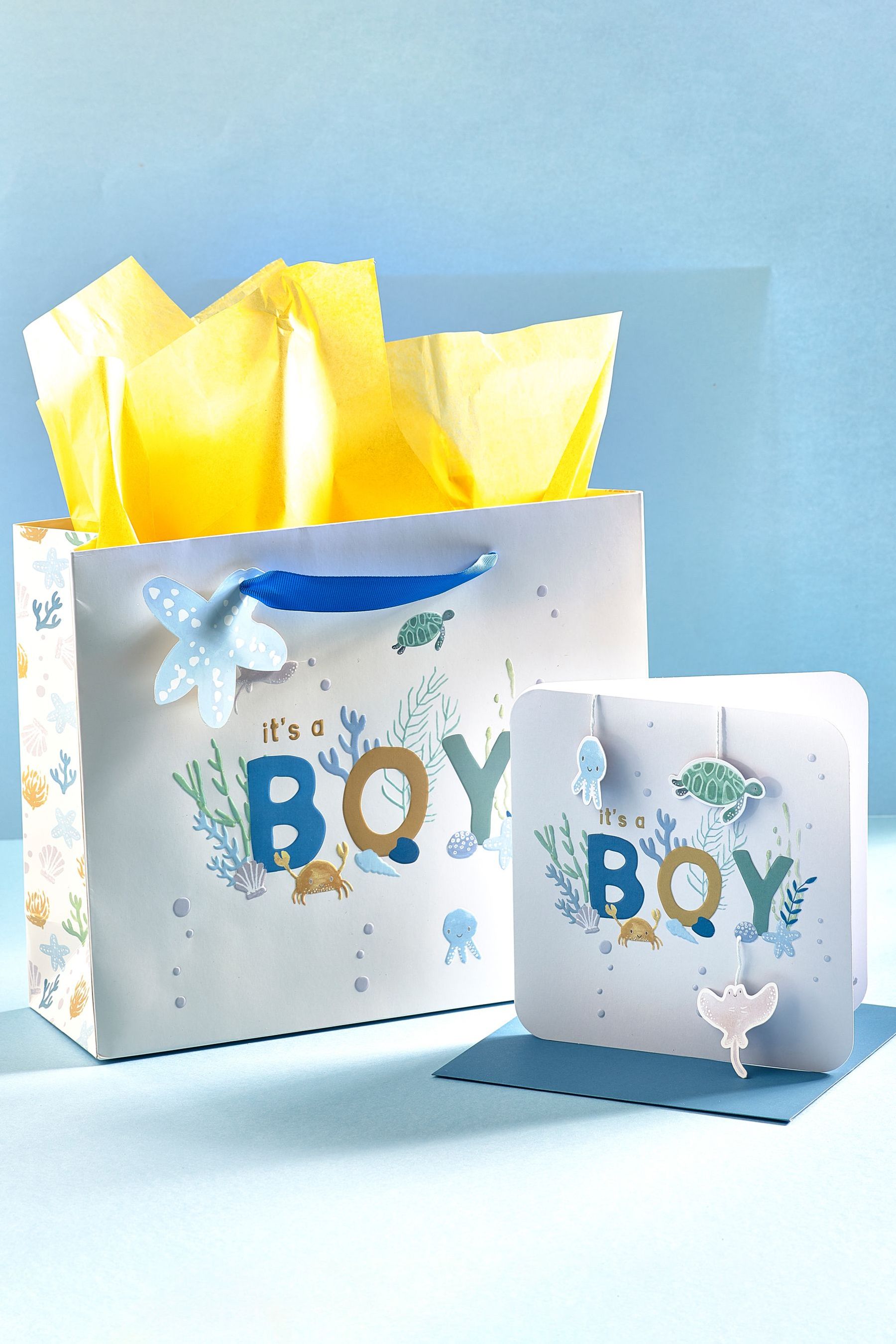 Blue Gift Bag & Card Bundle