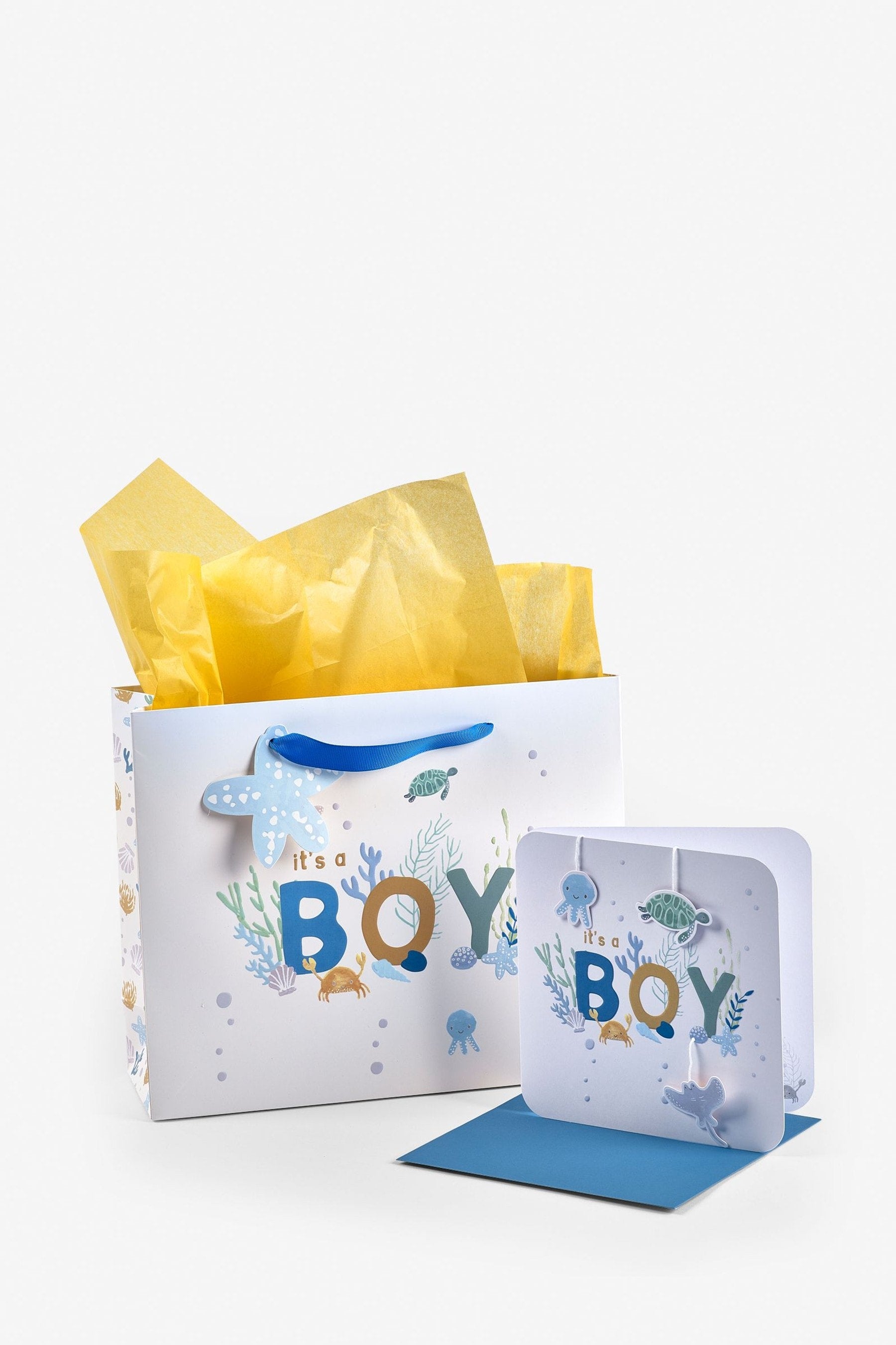 Blue Gift Bag & Card Bundle